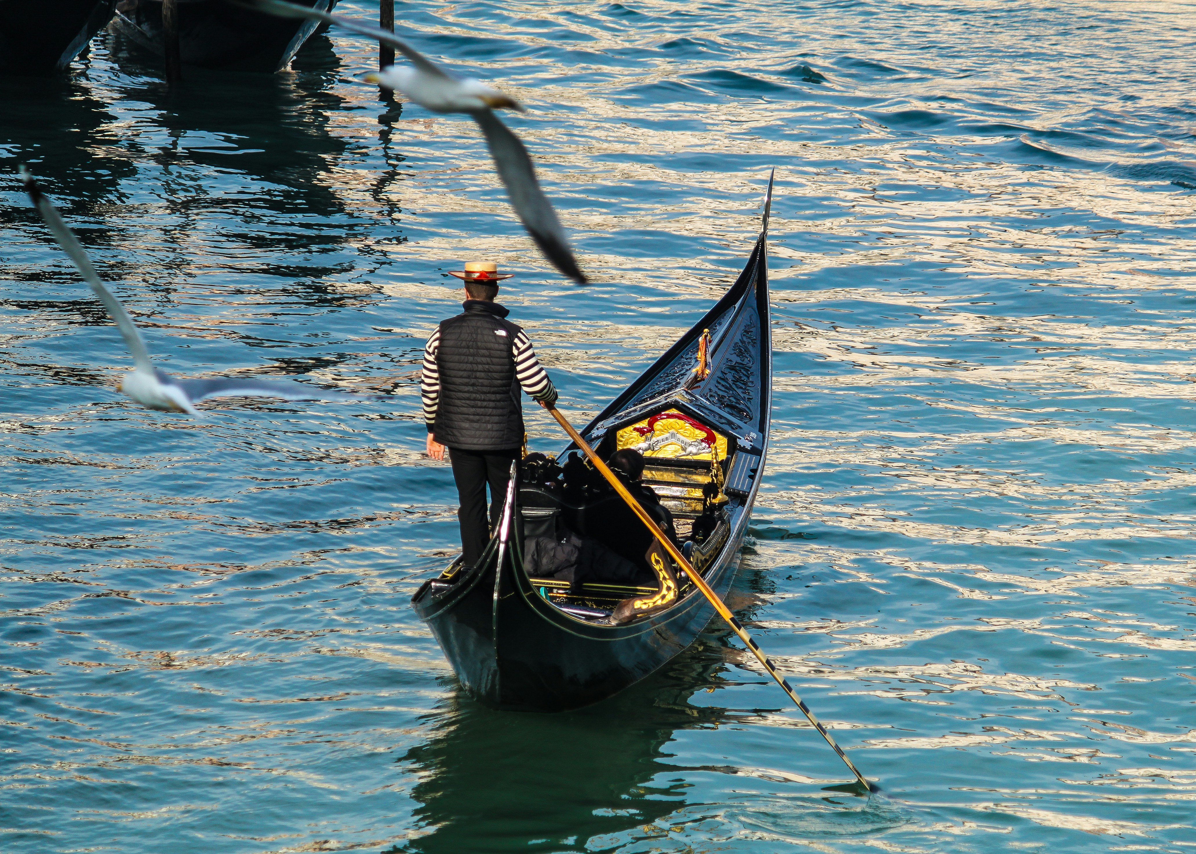 Photo by ajitmasurkar