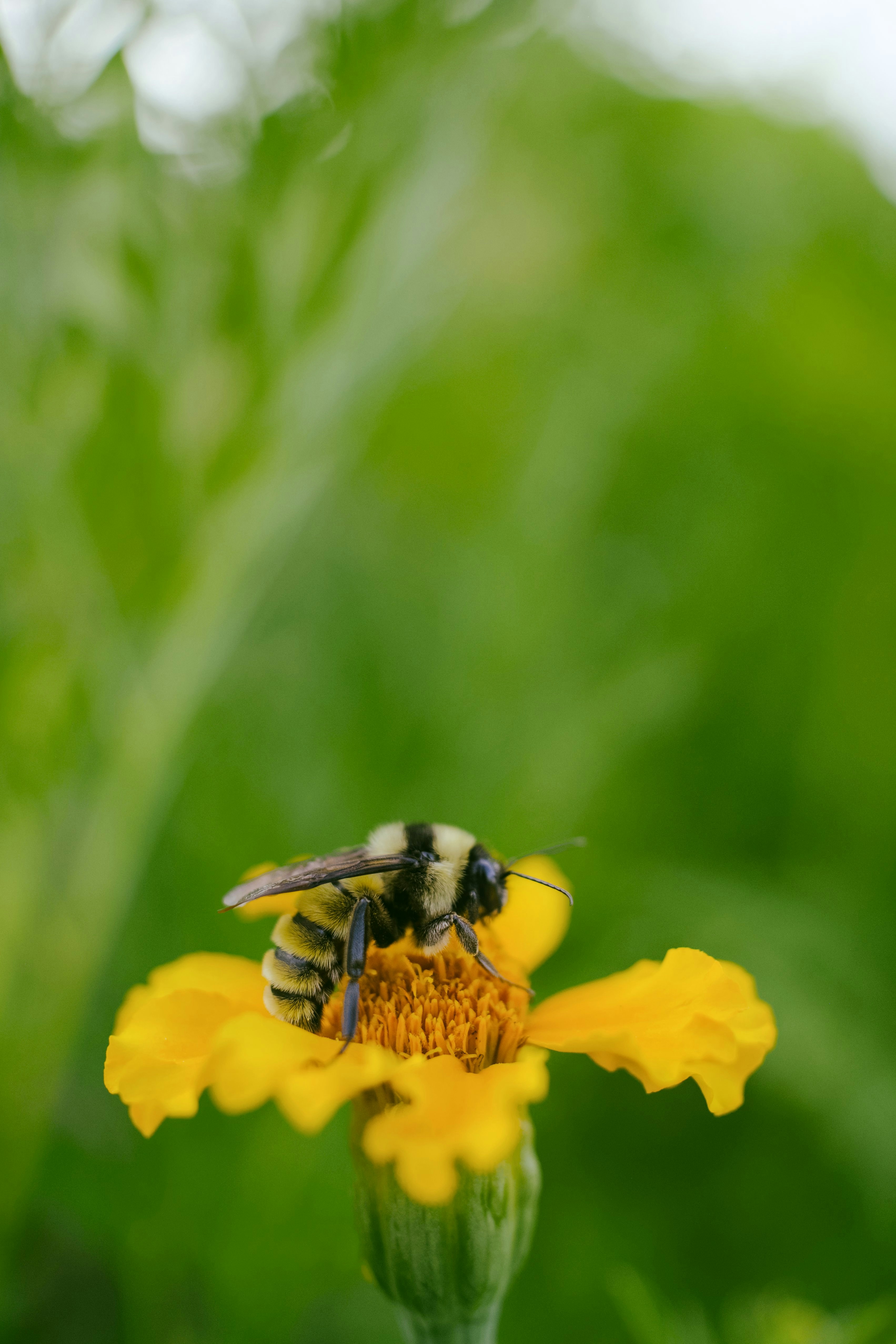 Photo by btcarpenter