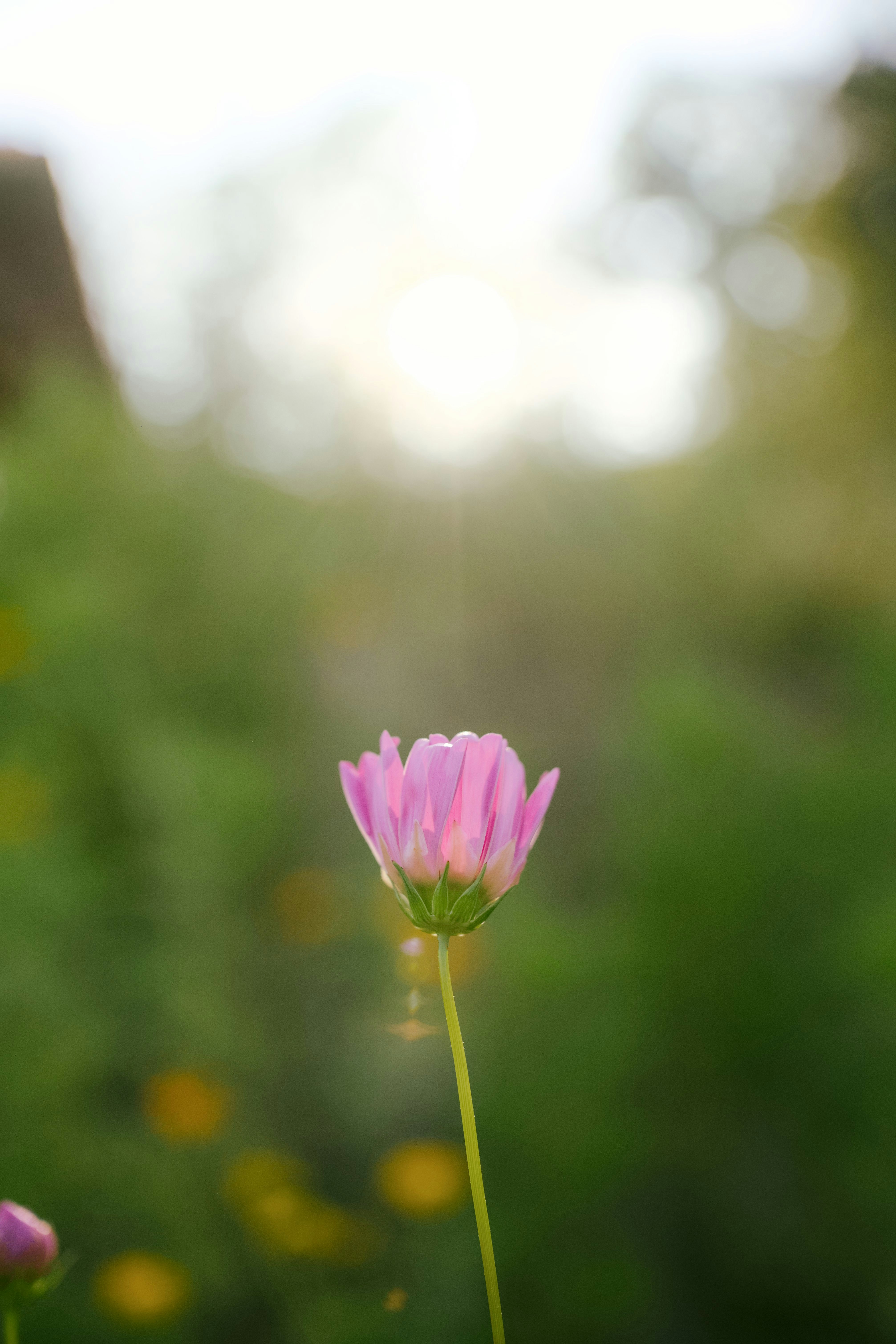 Photo by btcarpenter