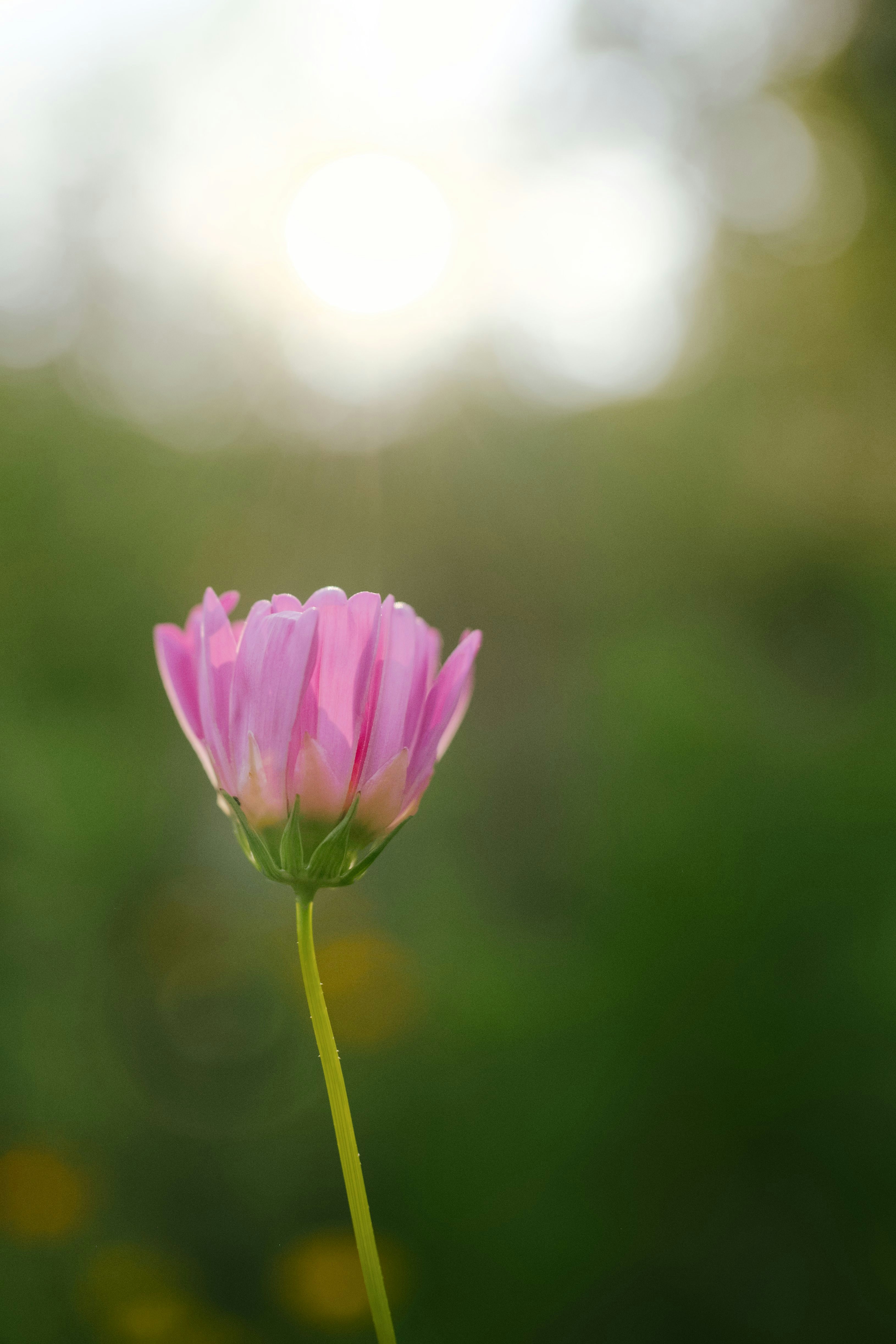 Photo by btcarpenter