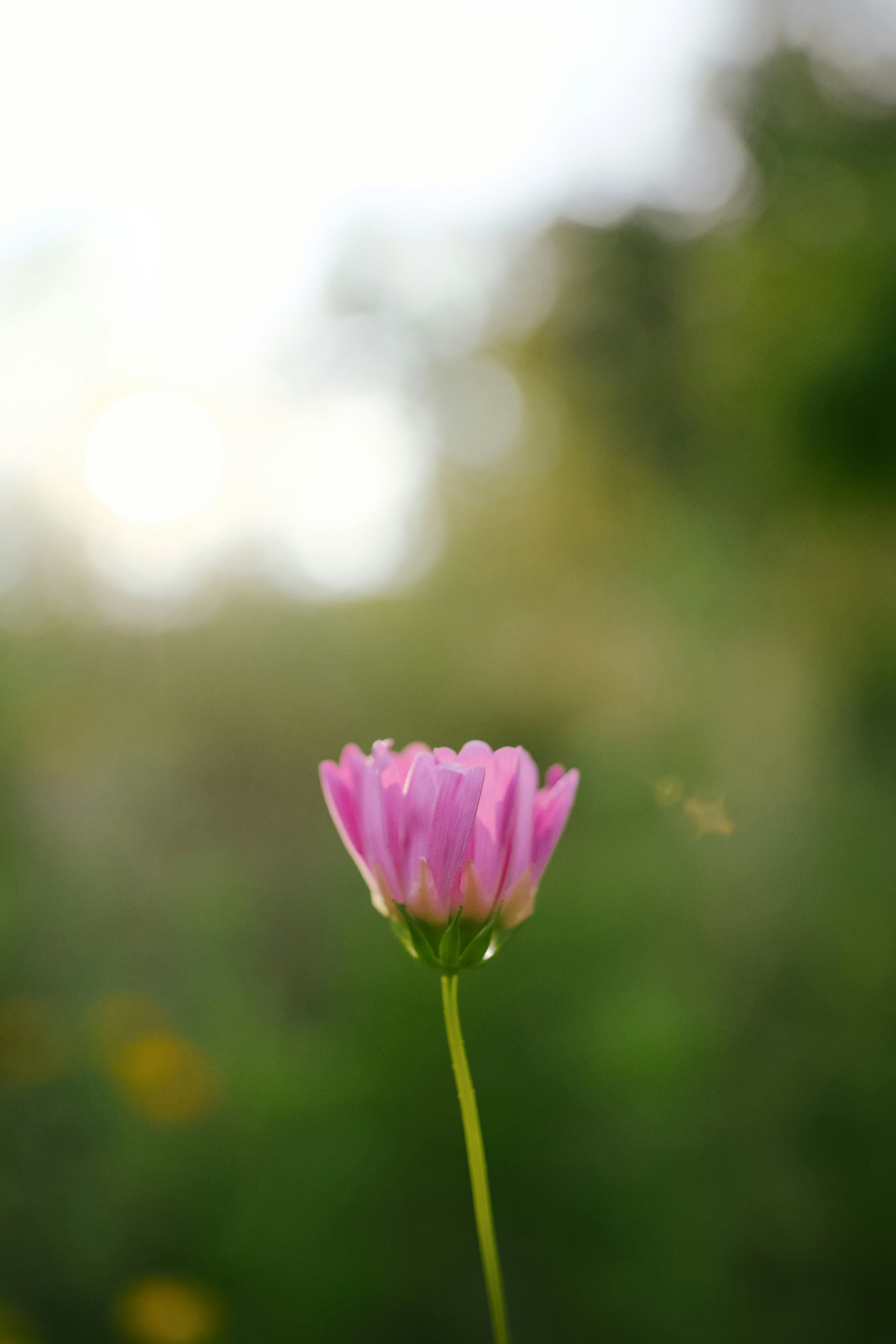 Photo by btcarpenter