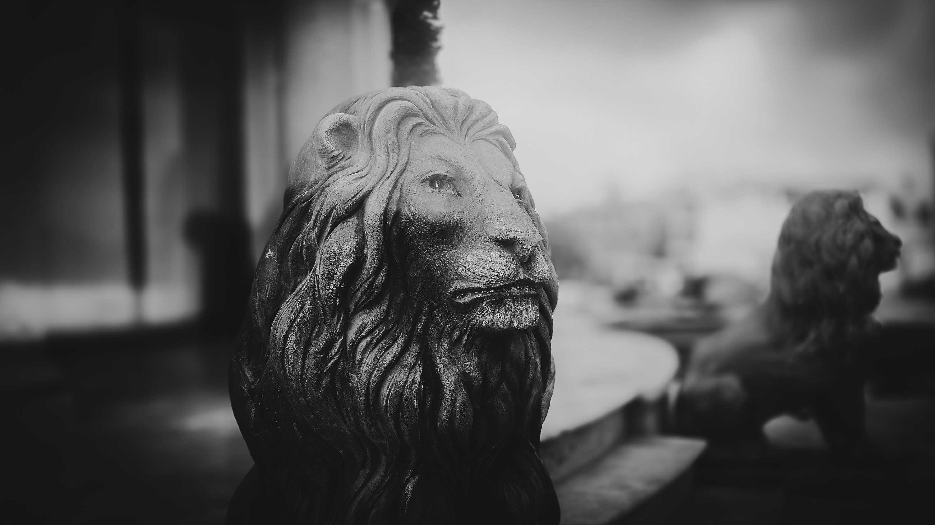 No Kings Protests: What You Need to Know