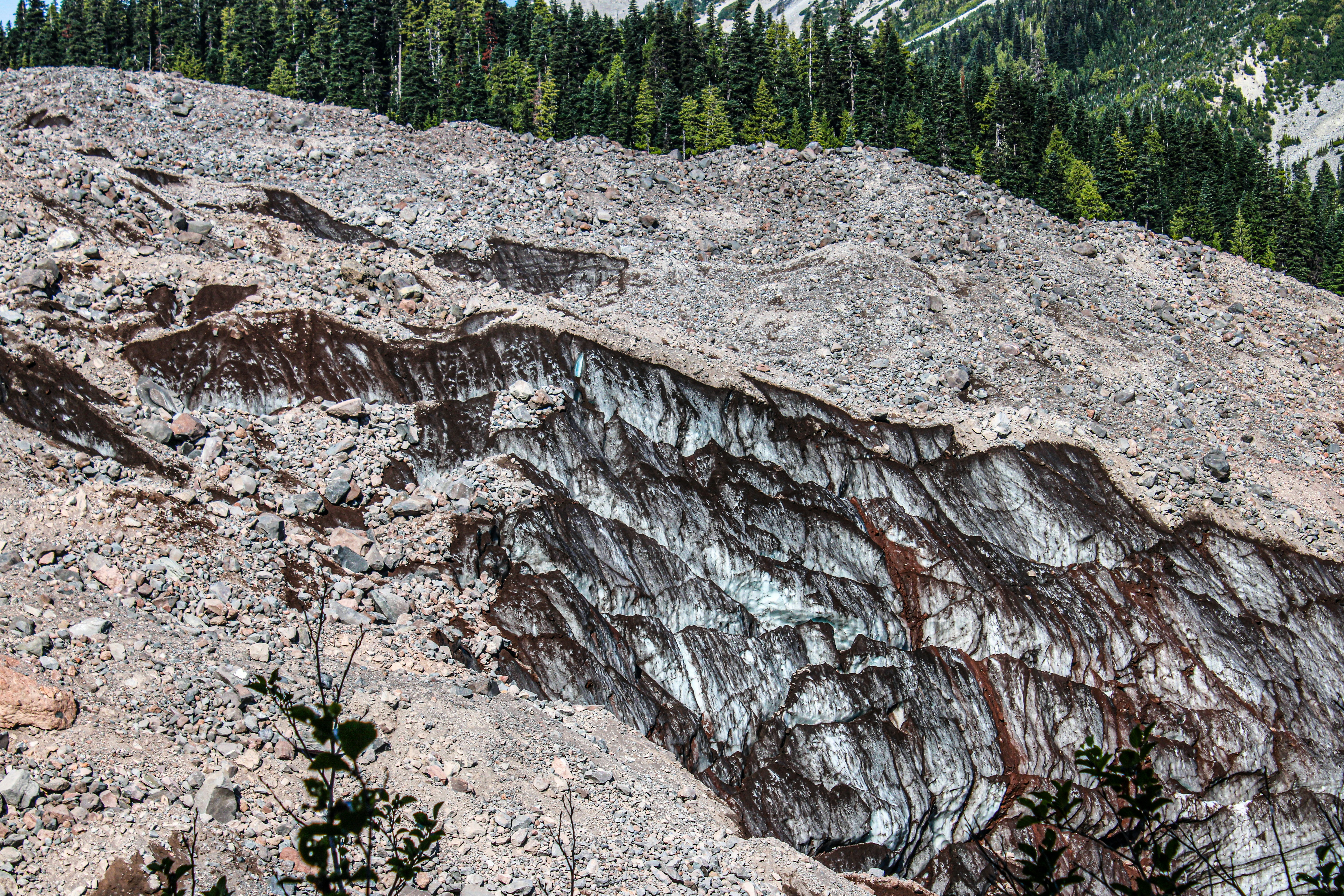 Photo by prphotography262