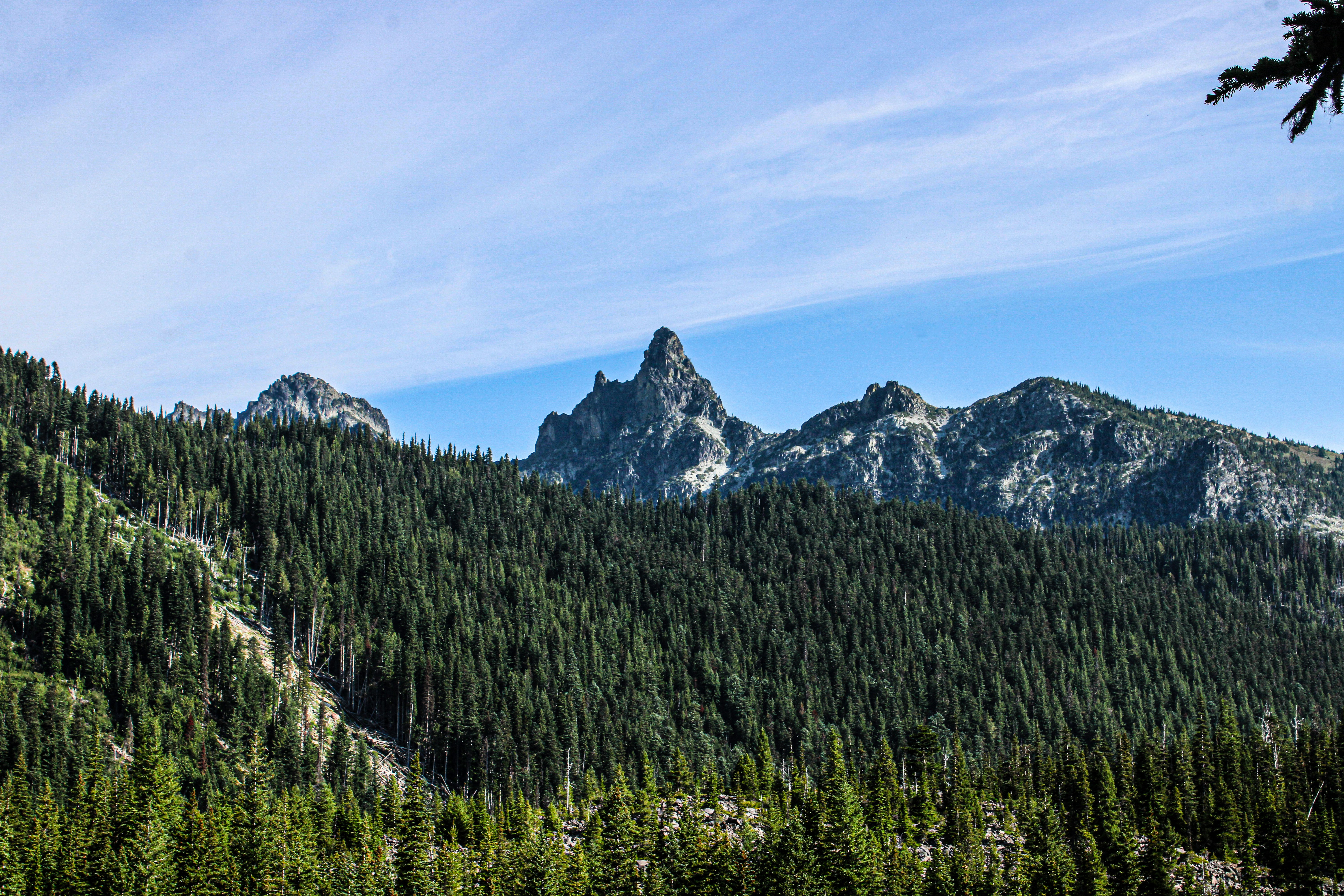 Photo by prphotography262