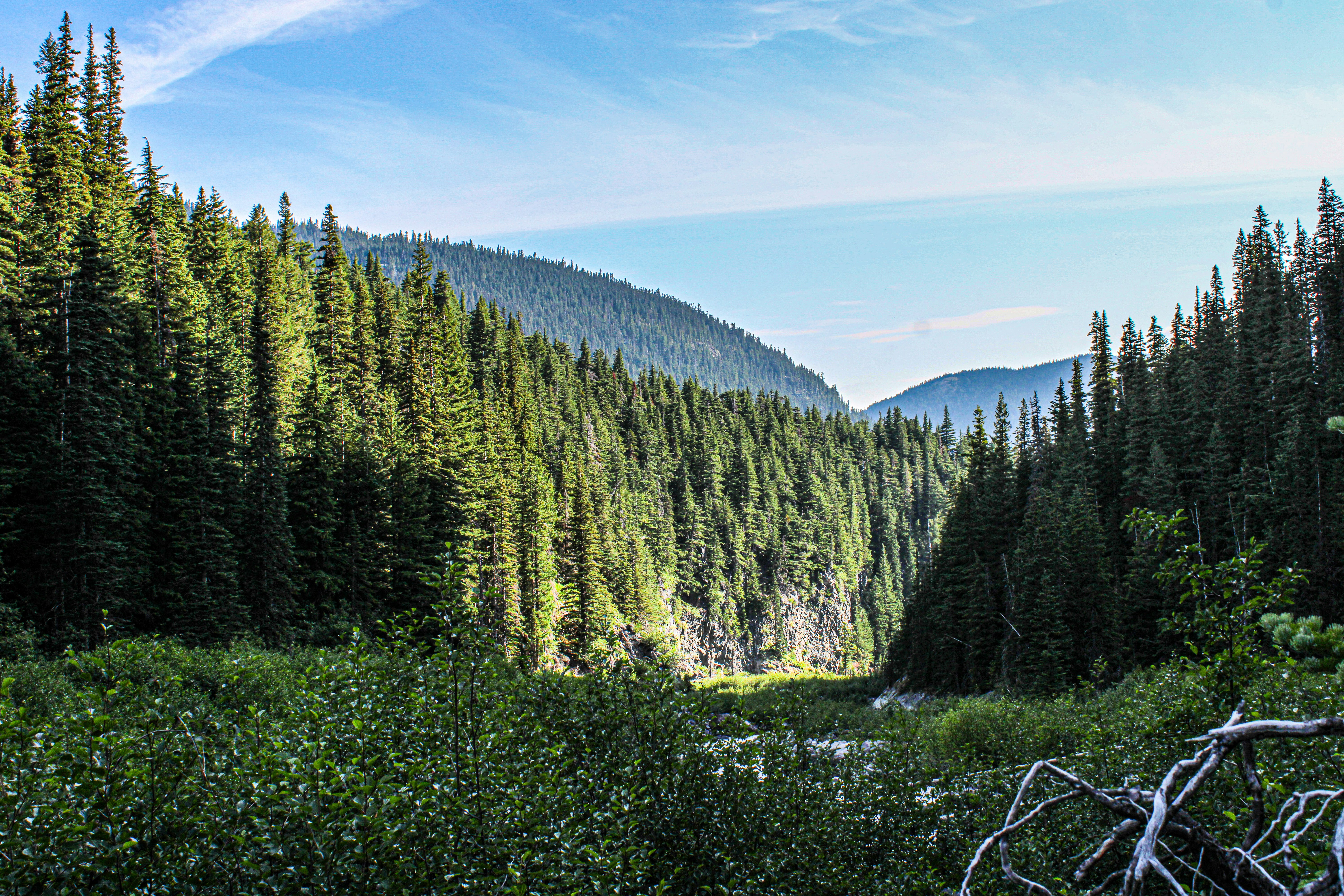 Photo by prphotography262