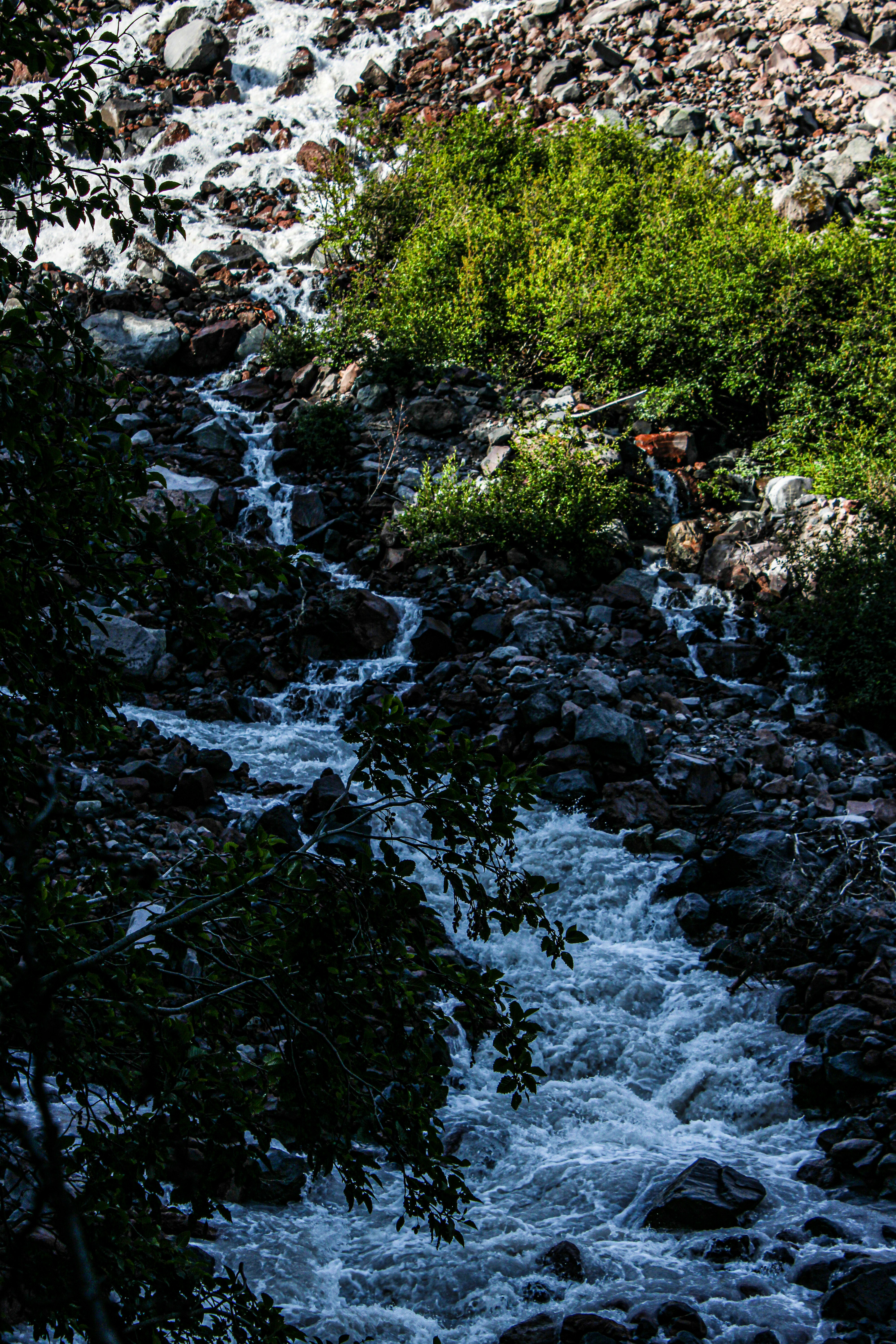 Photo by prphotography262