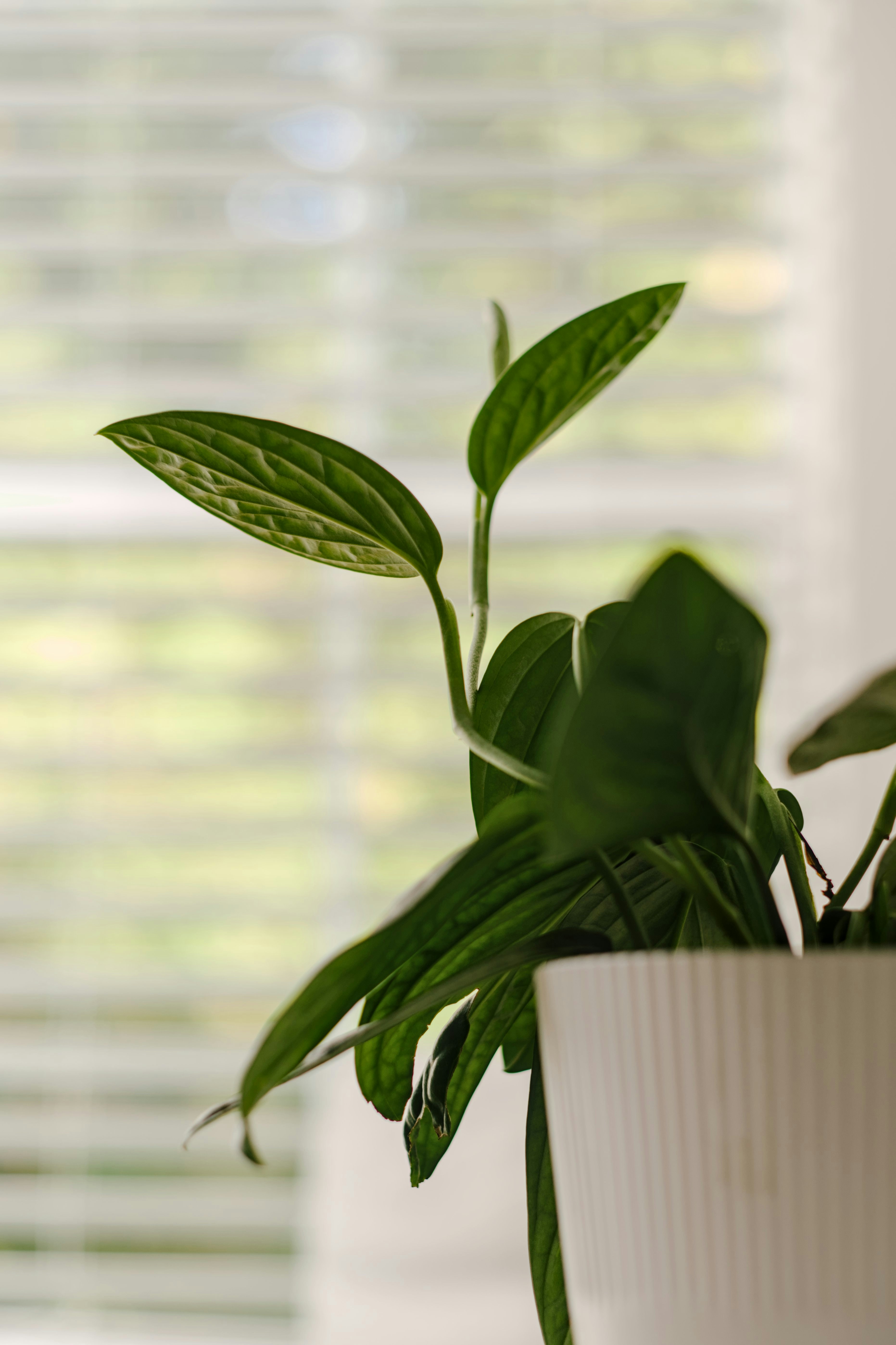 Photo by btcarpenter