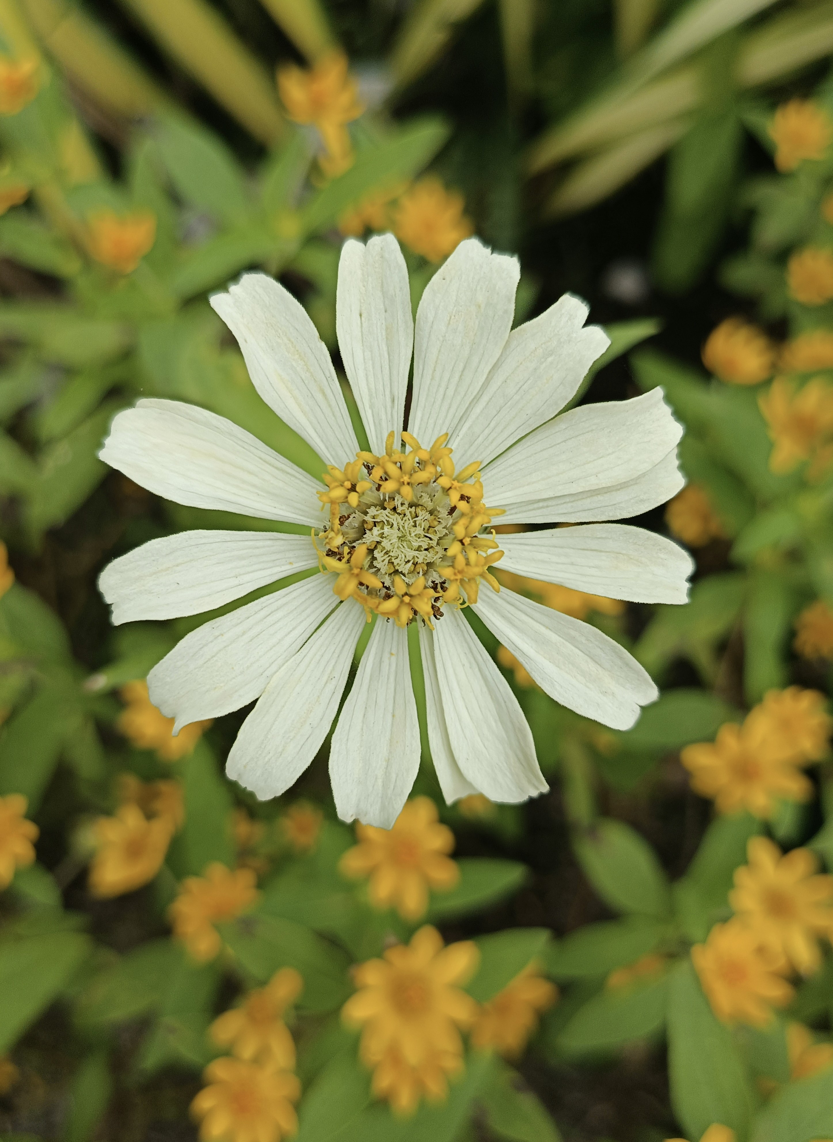 Photo by kristinemaemillano