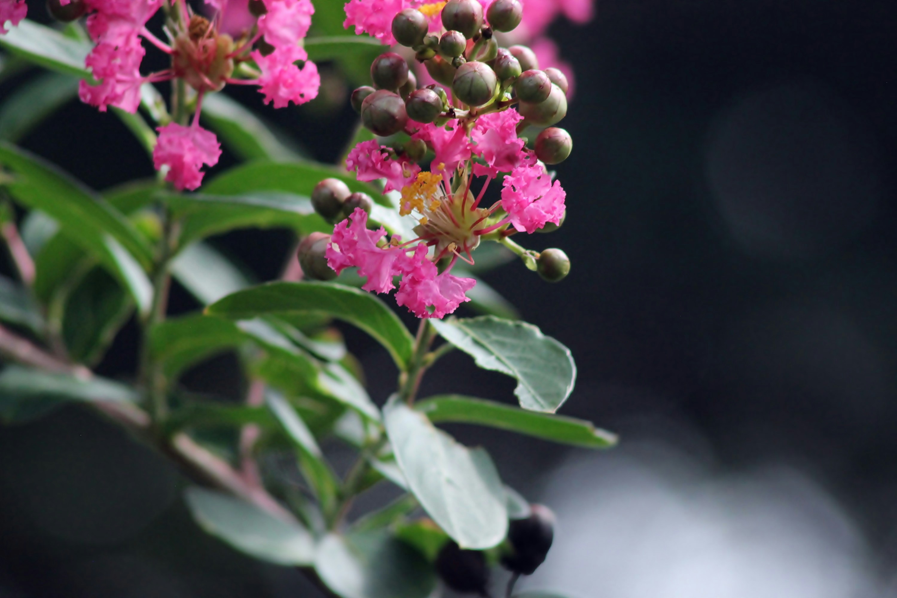 Photo by viewsofthecamera