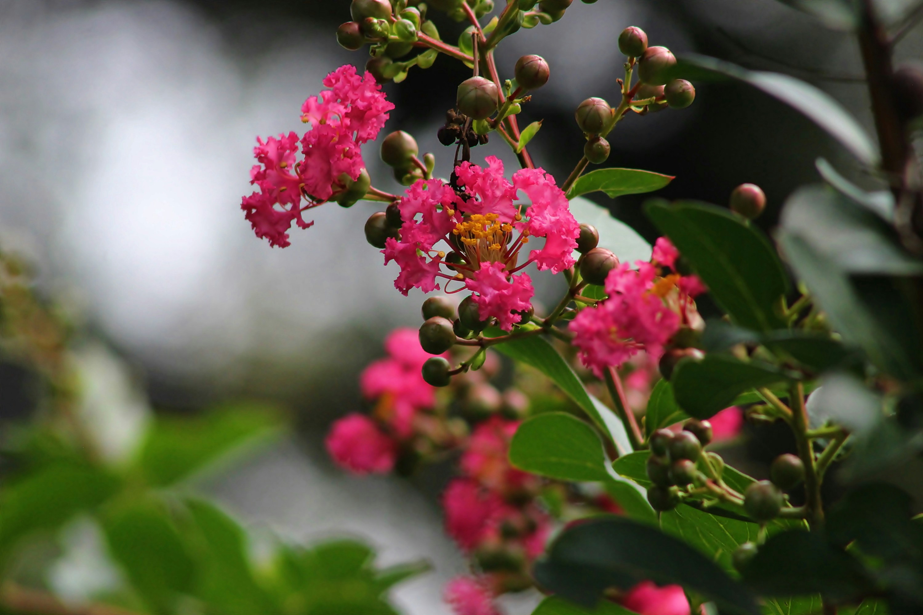 Photo by viewsofthecamera