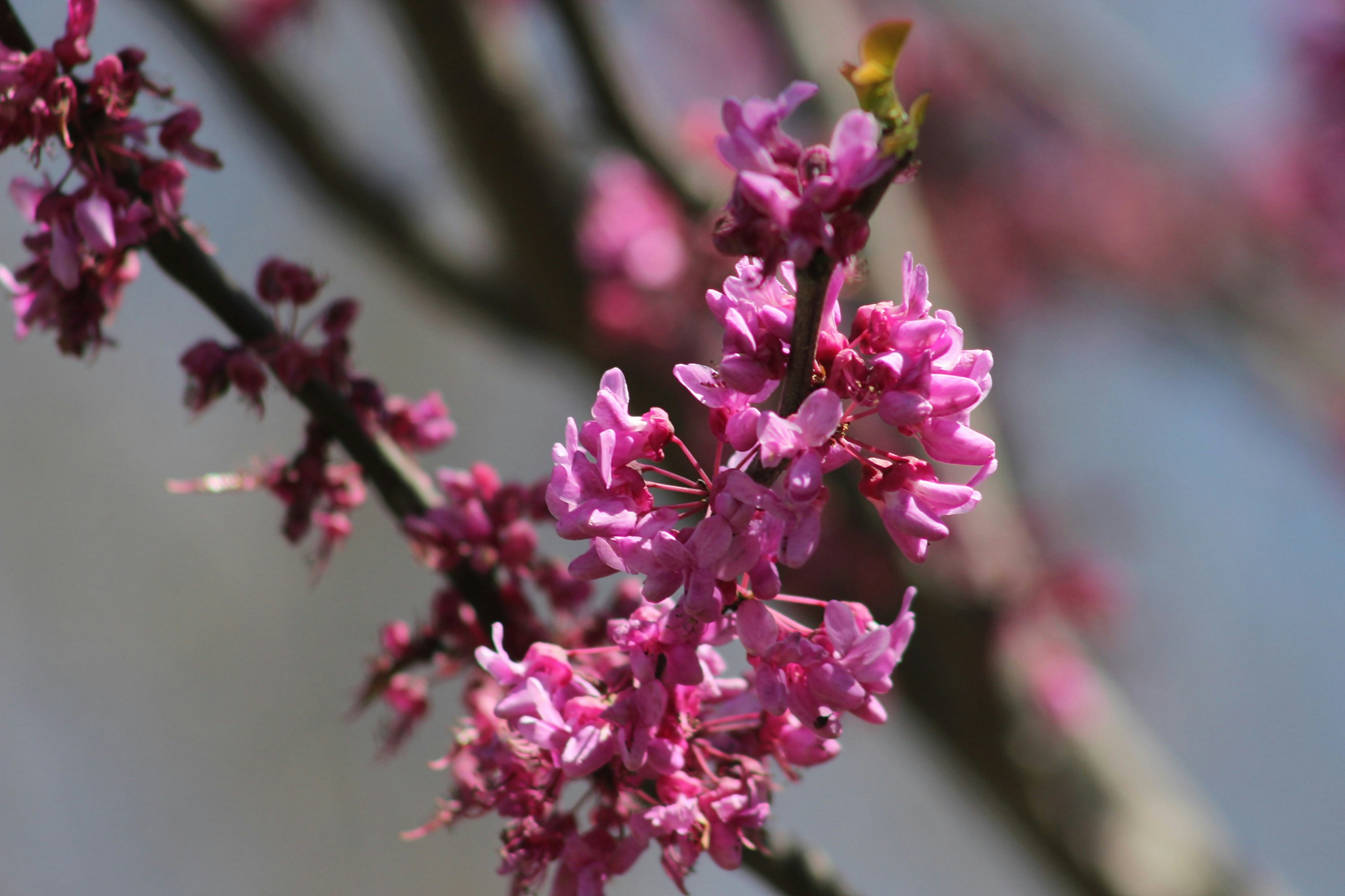 Photo by viewsofthecamera