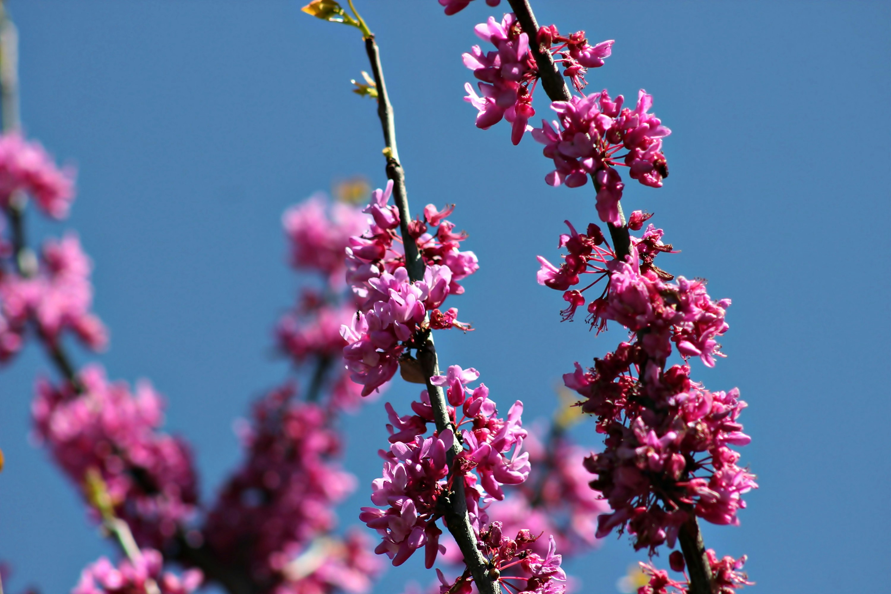 Photo by viewsofthecamera