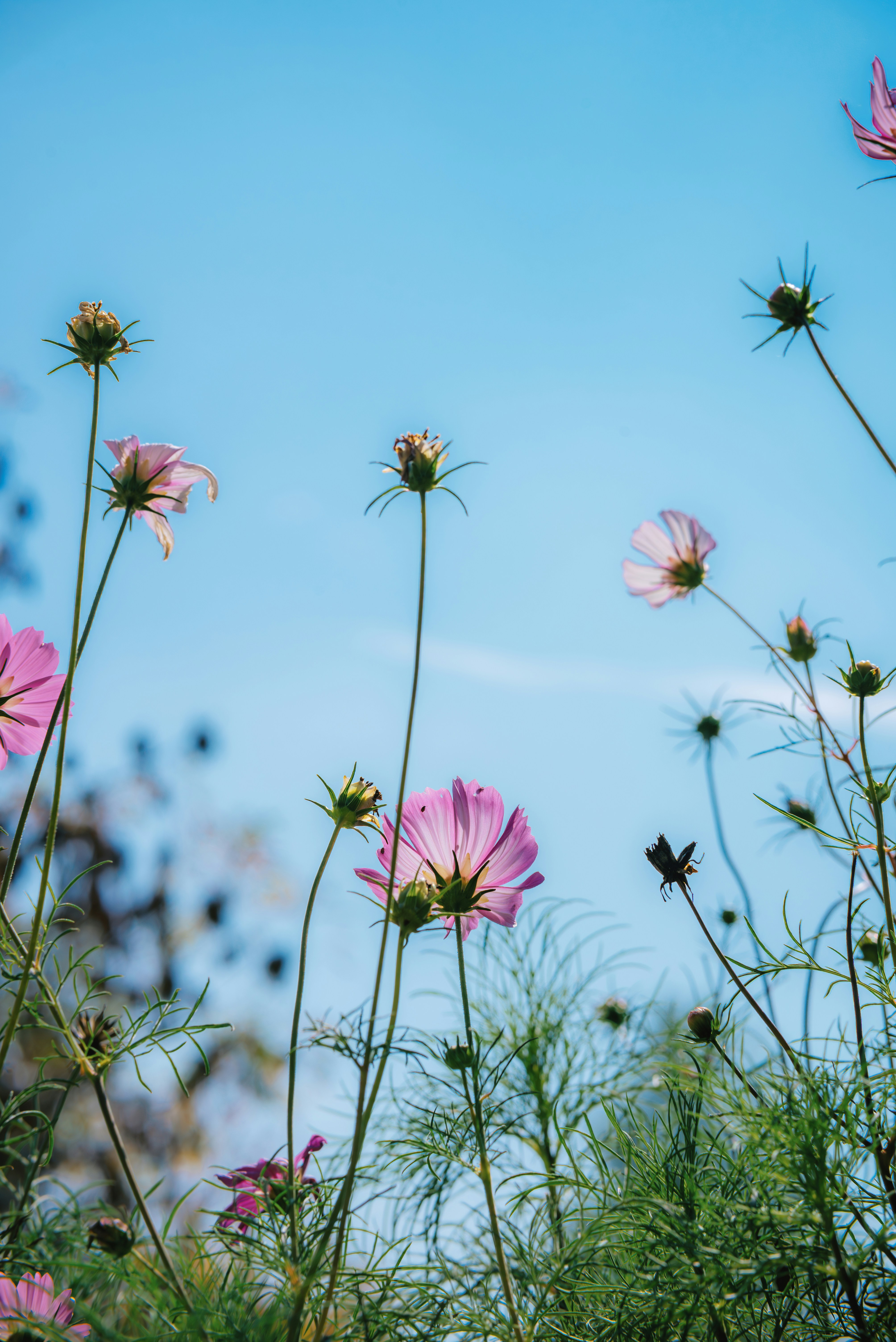 Photo by wangbinghua