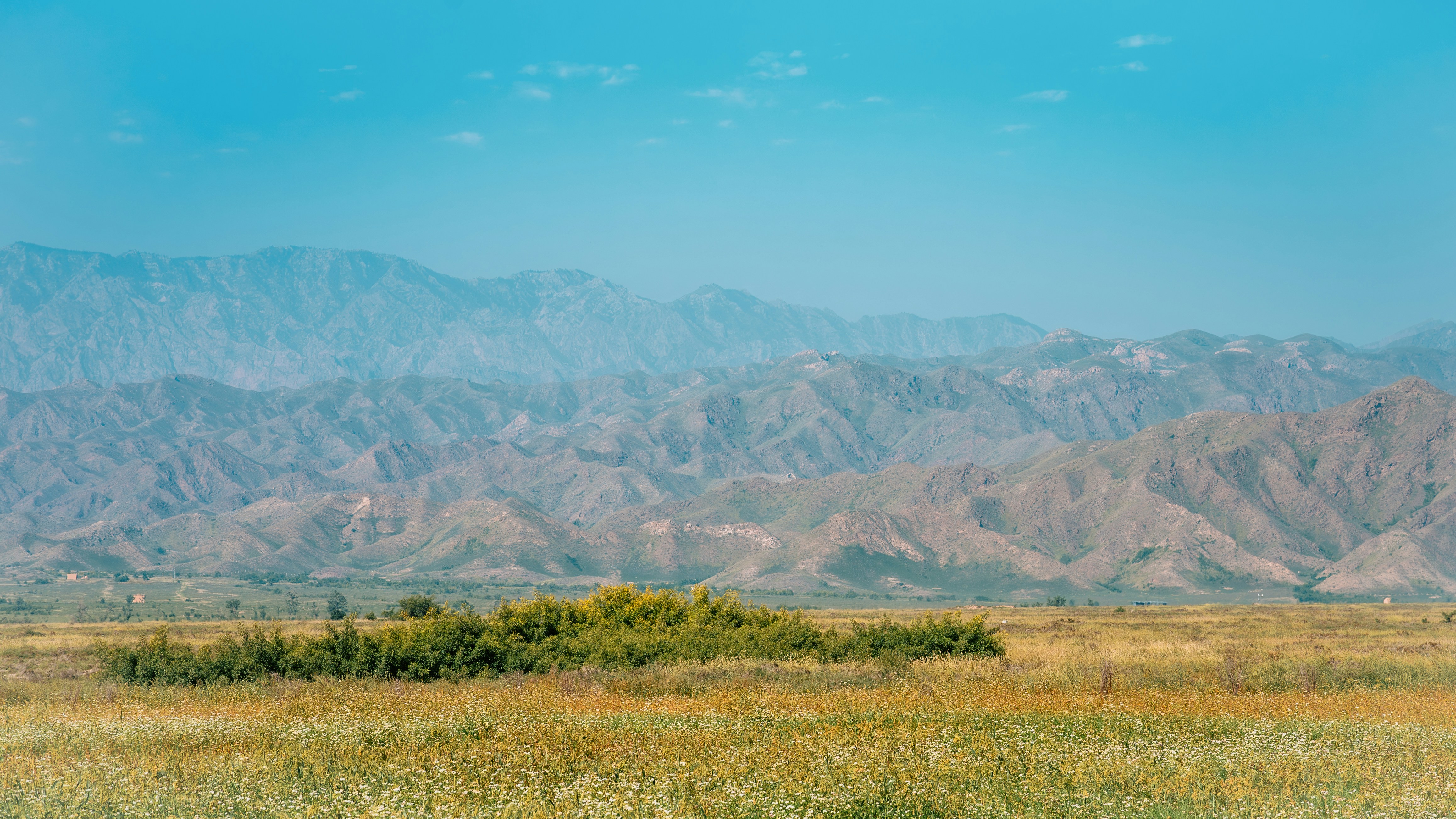 Photo by wangbinghua