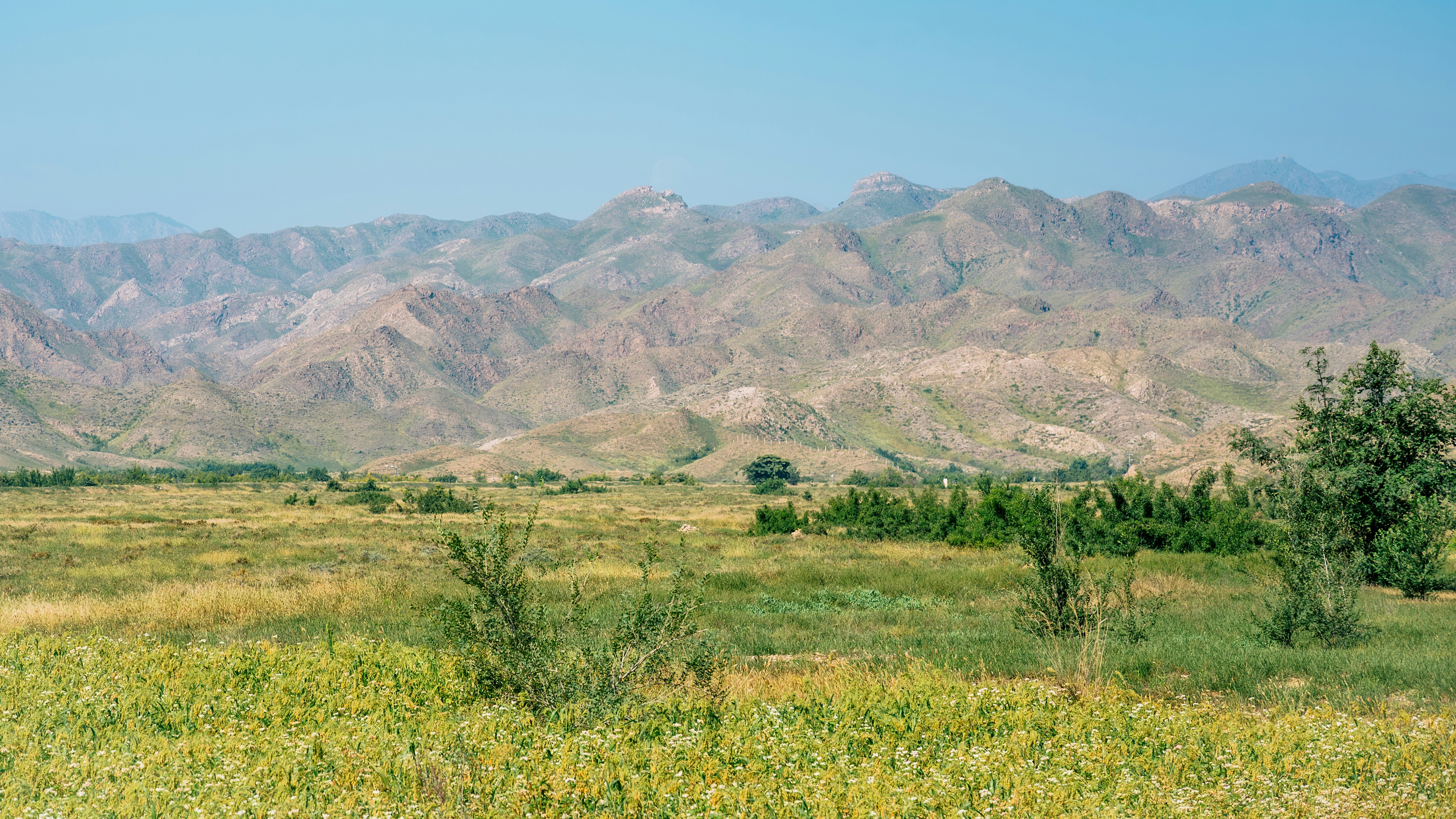 Photo by wangbinghua