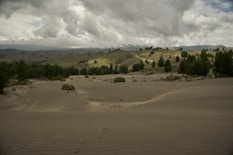 A wide open field with trees and clouds in the background
