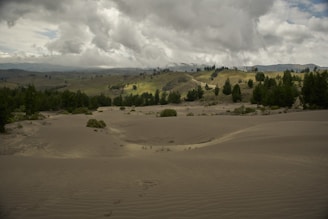 A wide open field with trees and clouds in the background