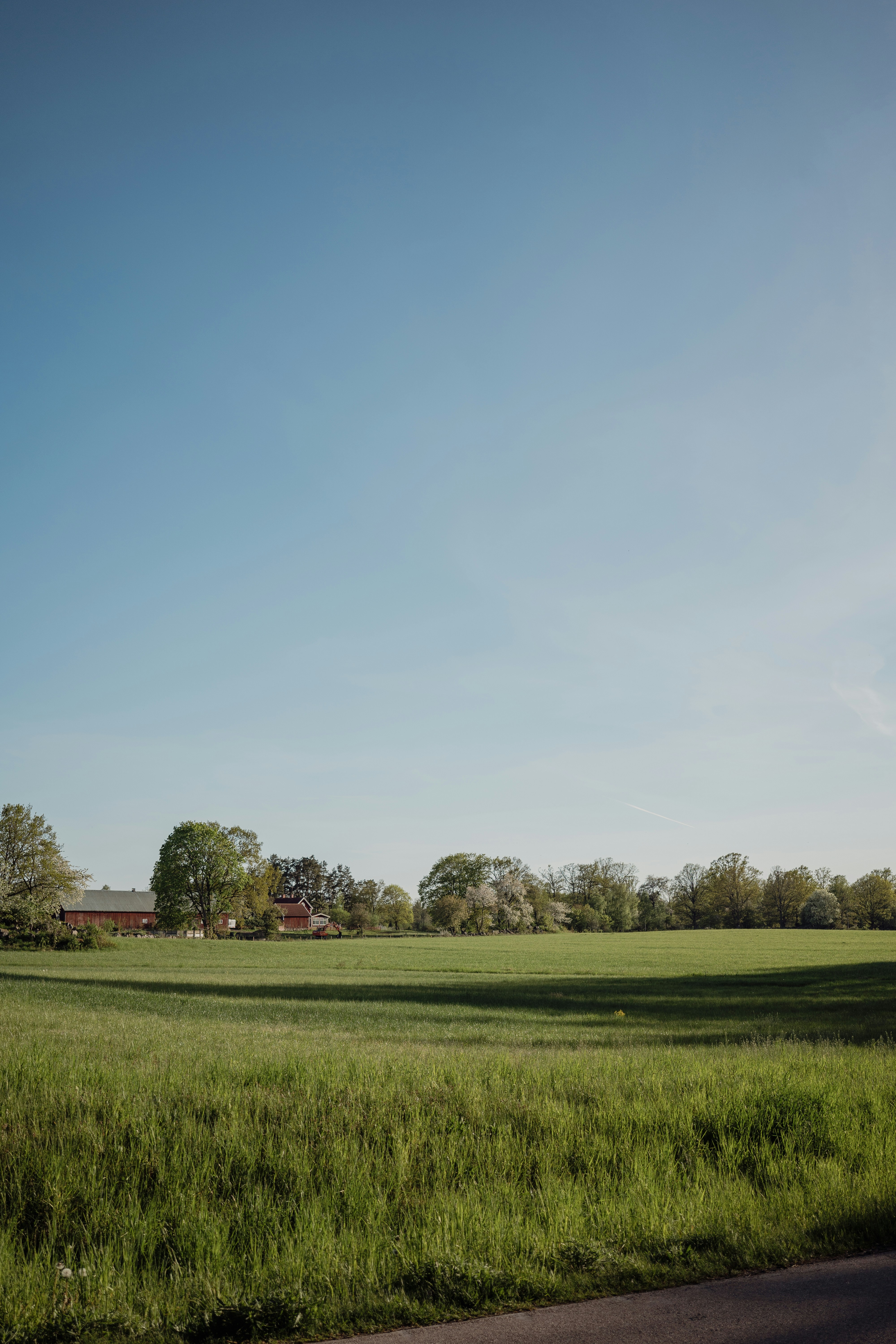 Photo by karthickgislen