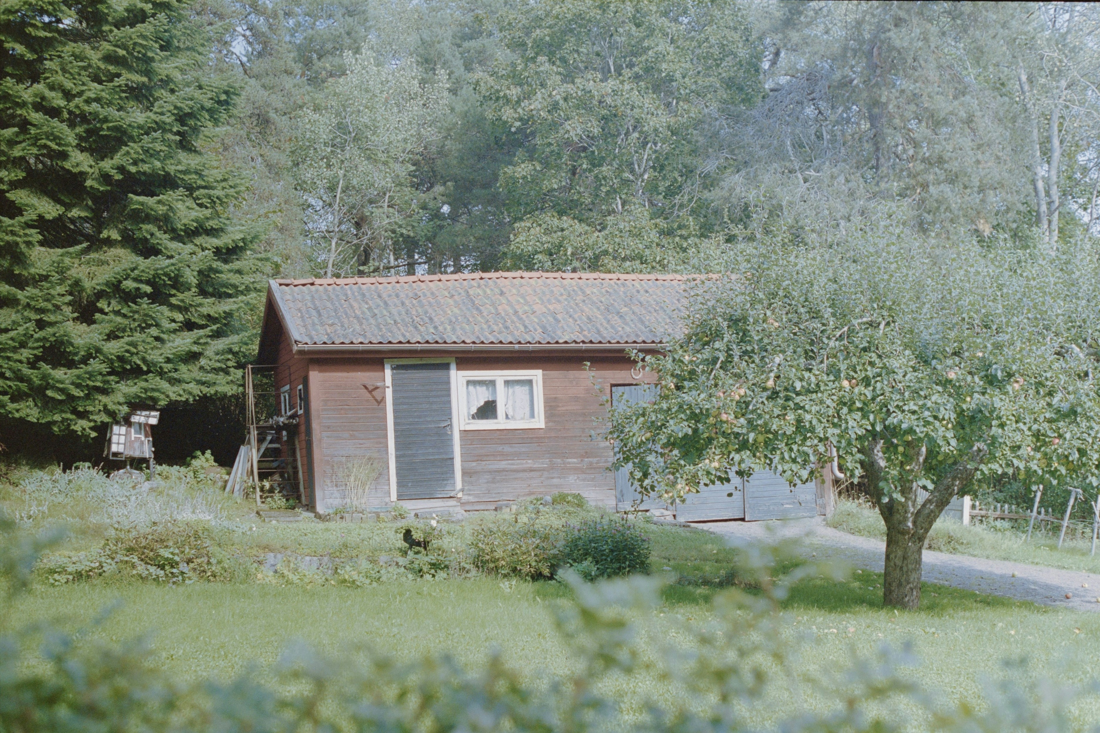 Eine kleine Hütte mitten im Wald