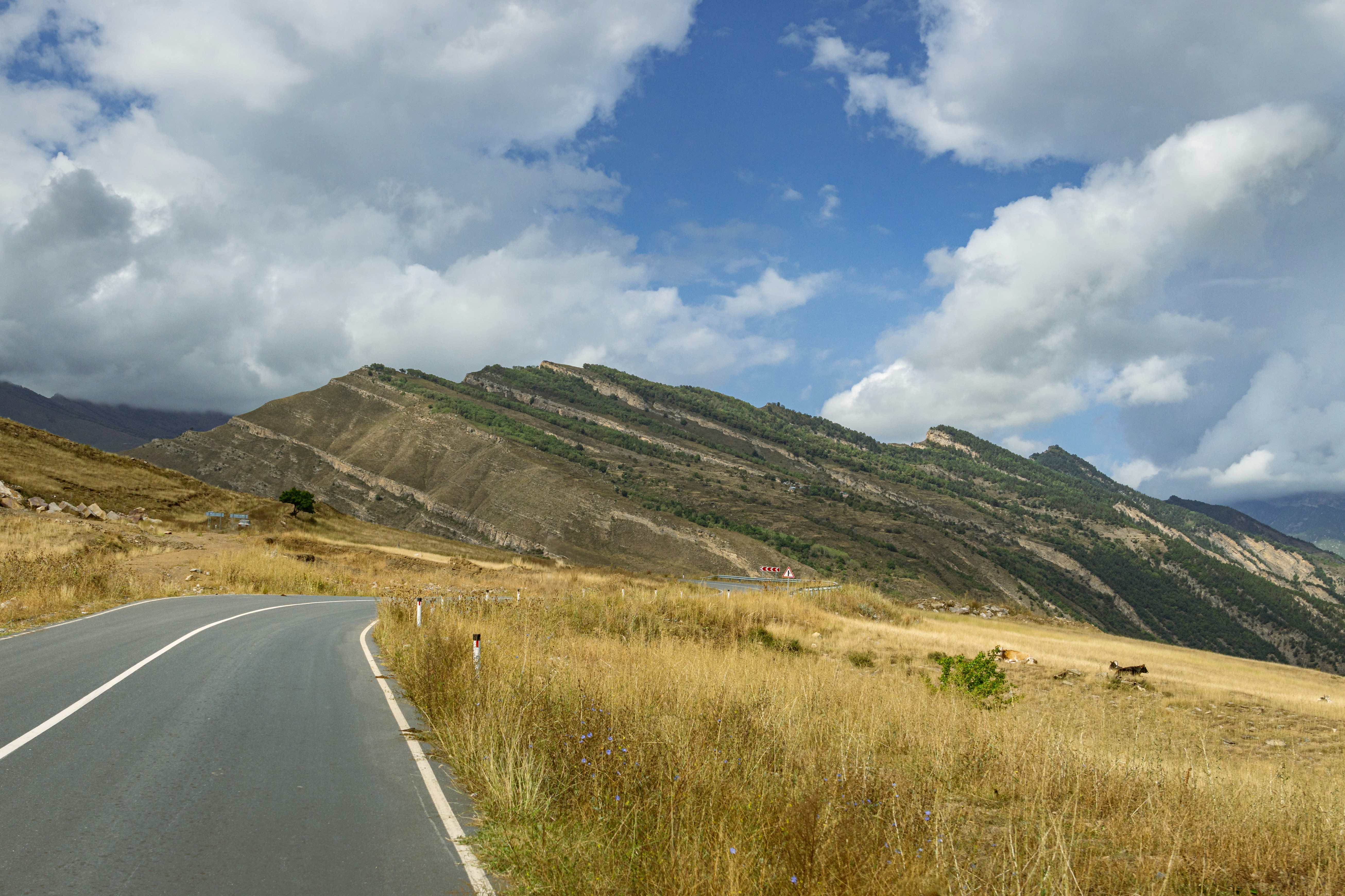 A view of a road with a mountain in the background