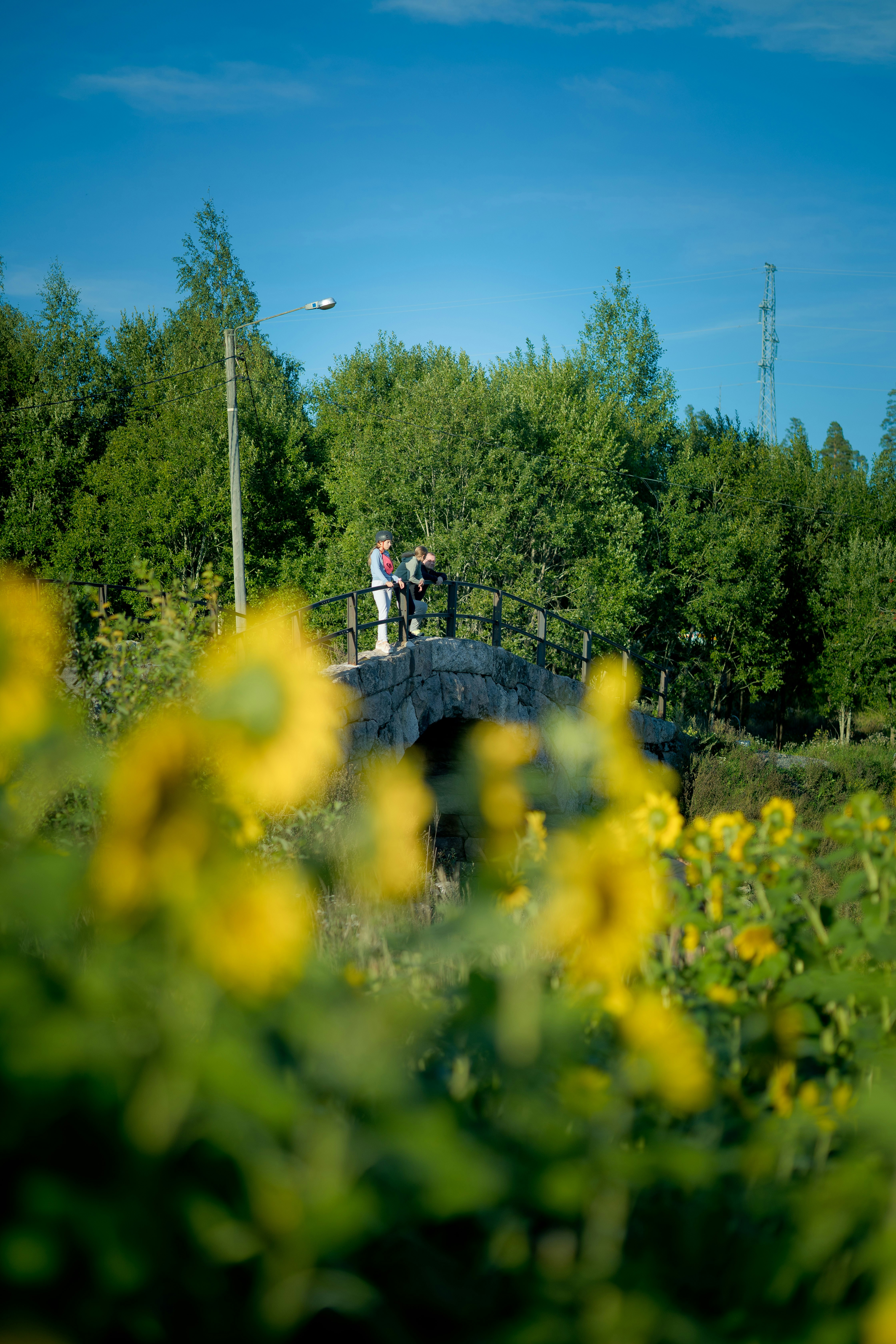A couple of people riding bikes on a bridge