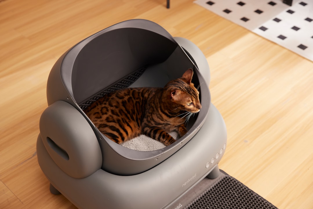 Litter Box Odor Control