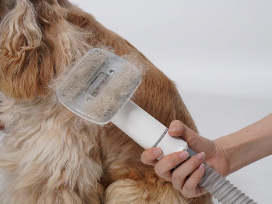 Dog receiving professional grooming