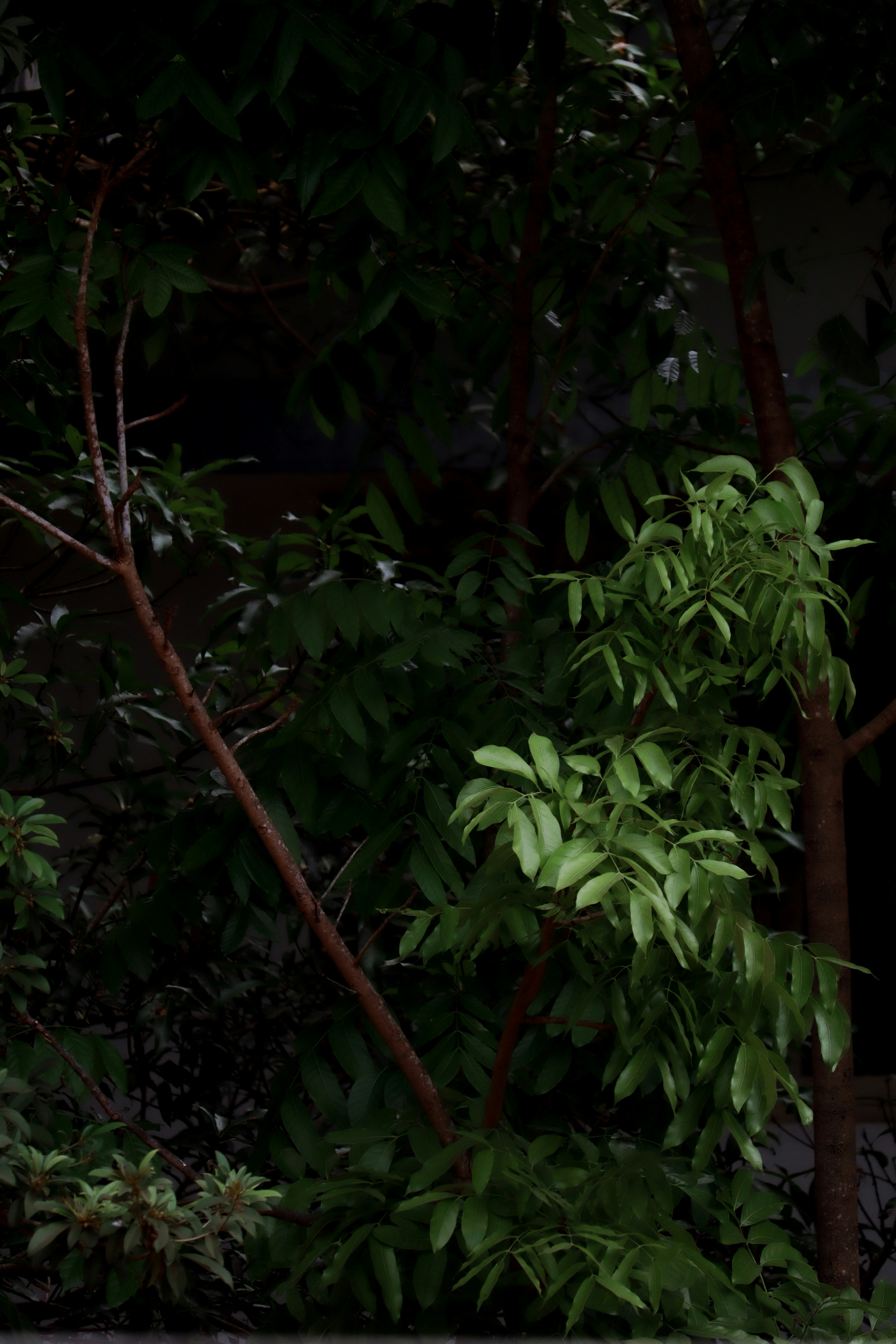 Photo by playmaker12