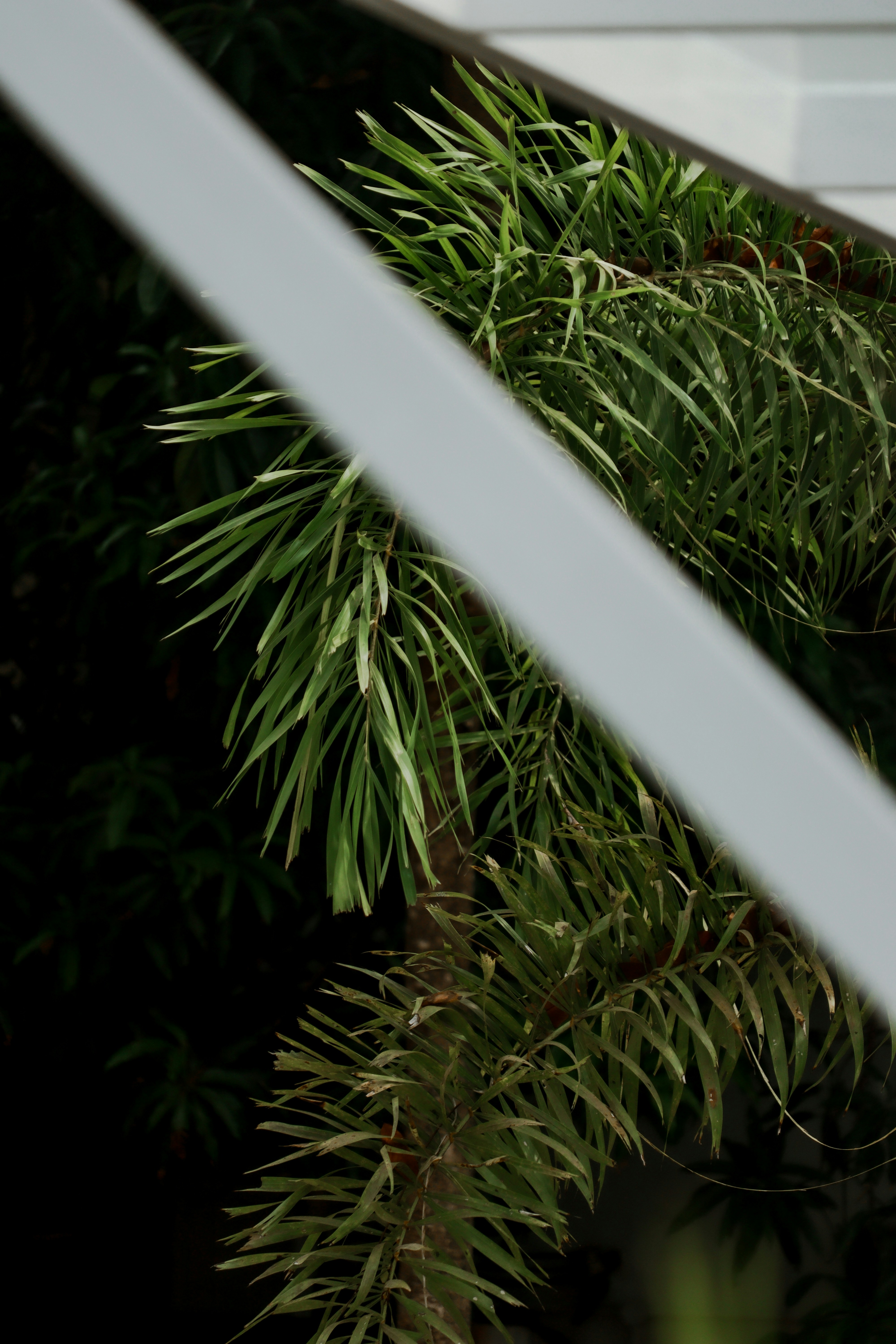 Photo by playmaker12