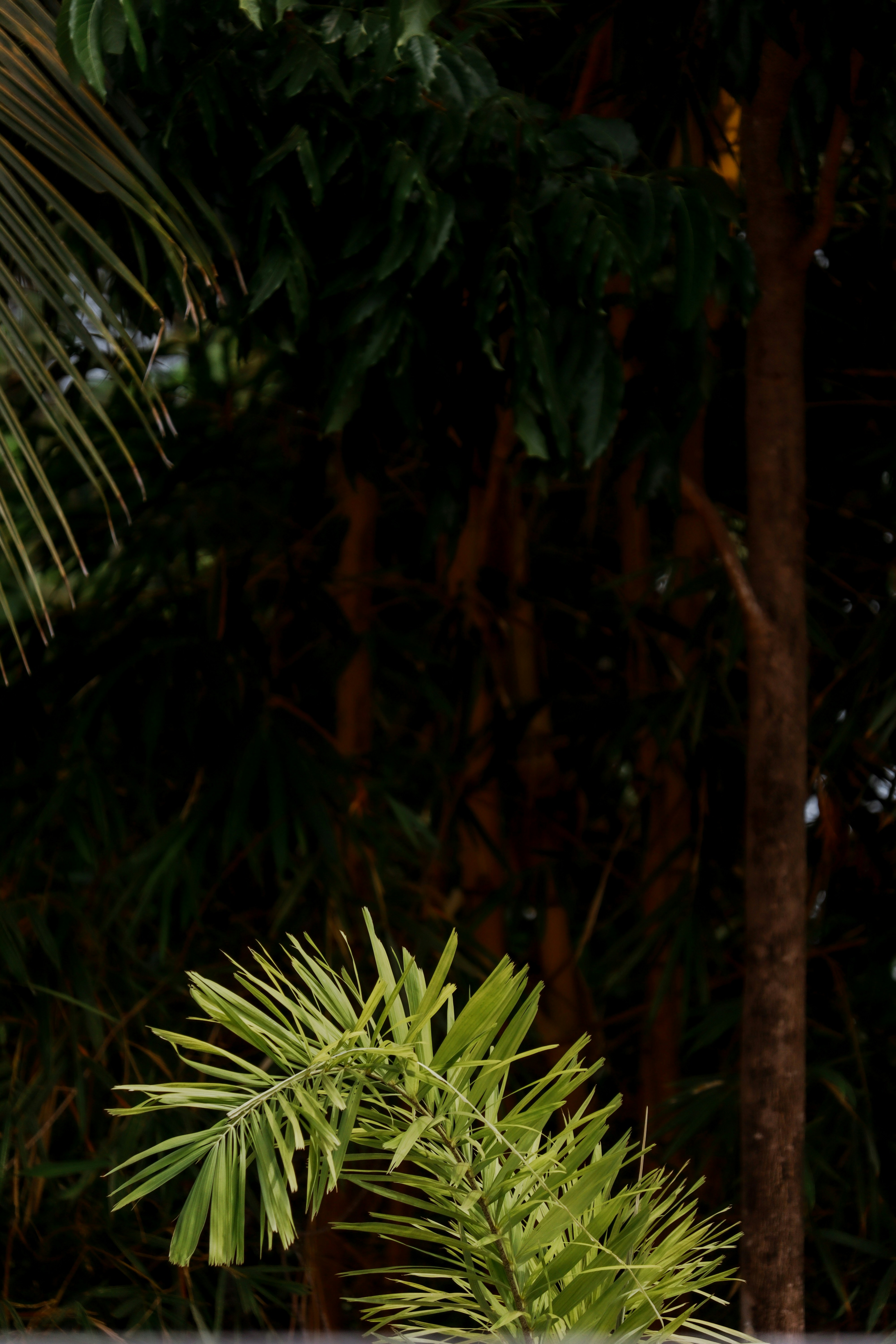 Photo by playmaker12