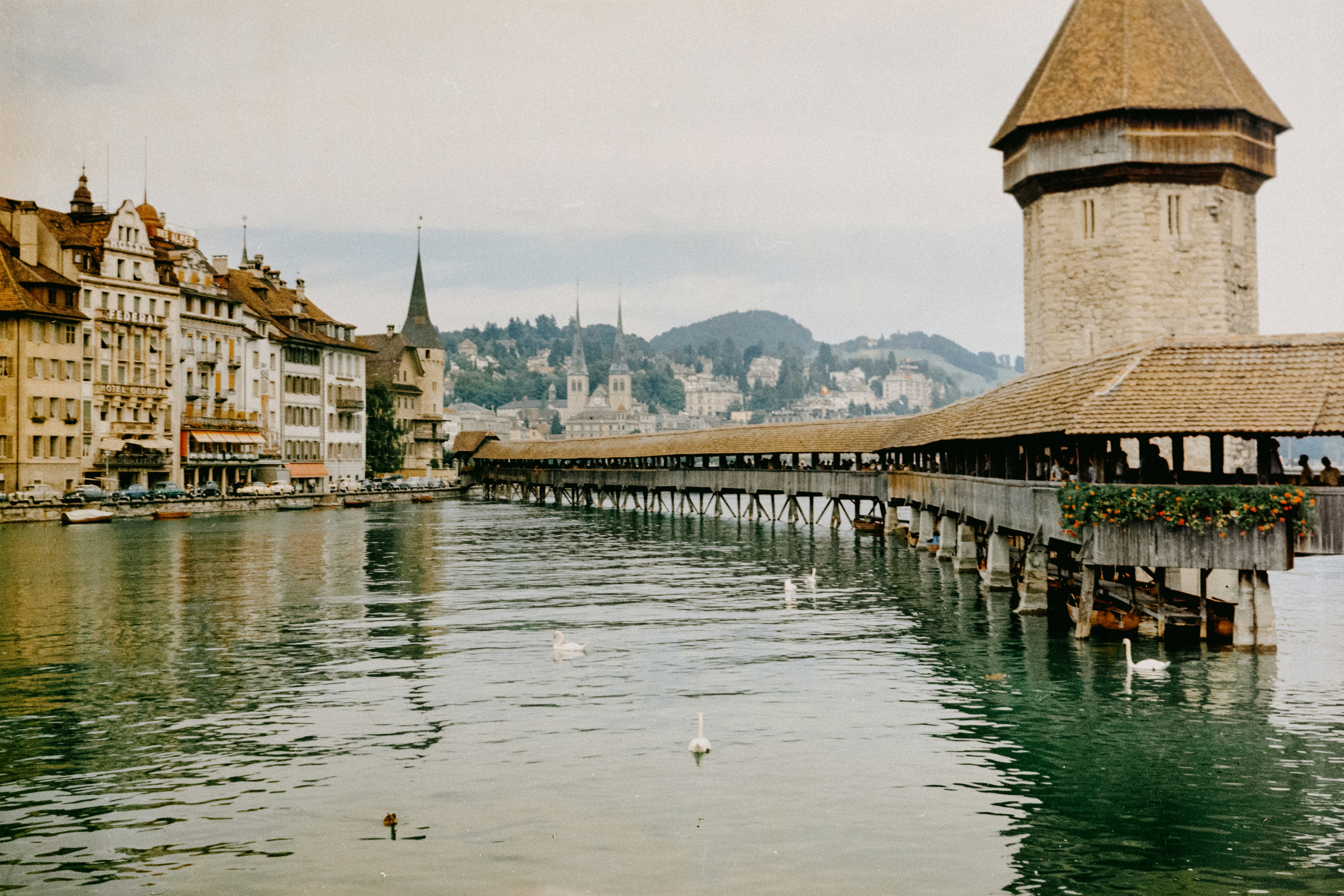A large body of water next to a tall building