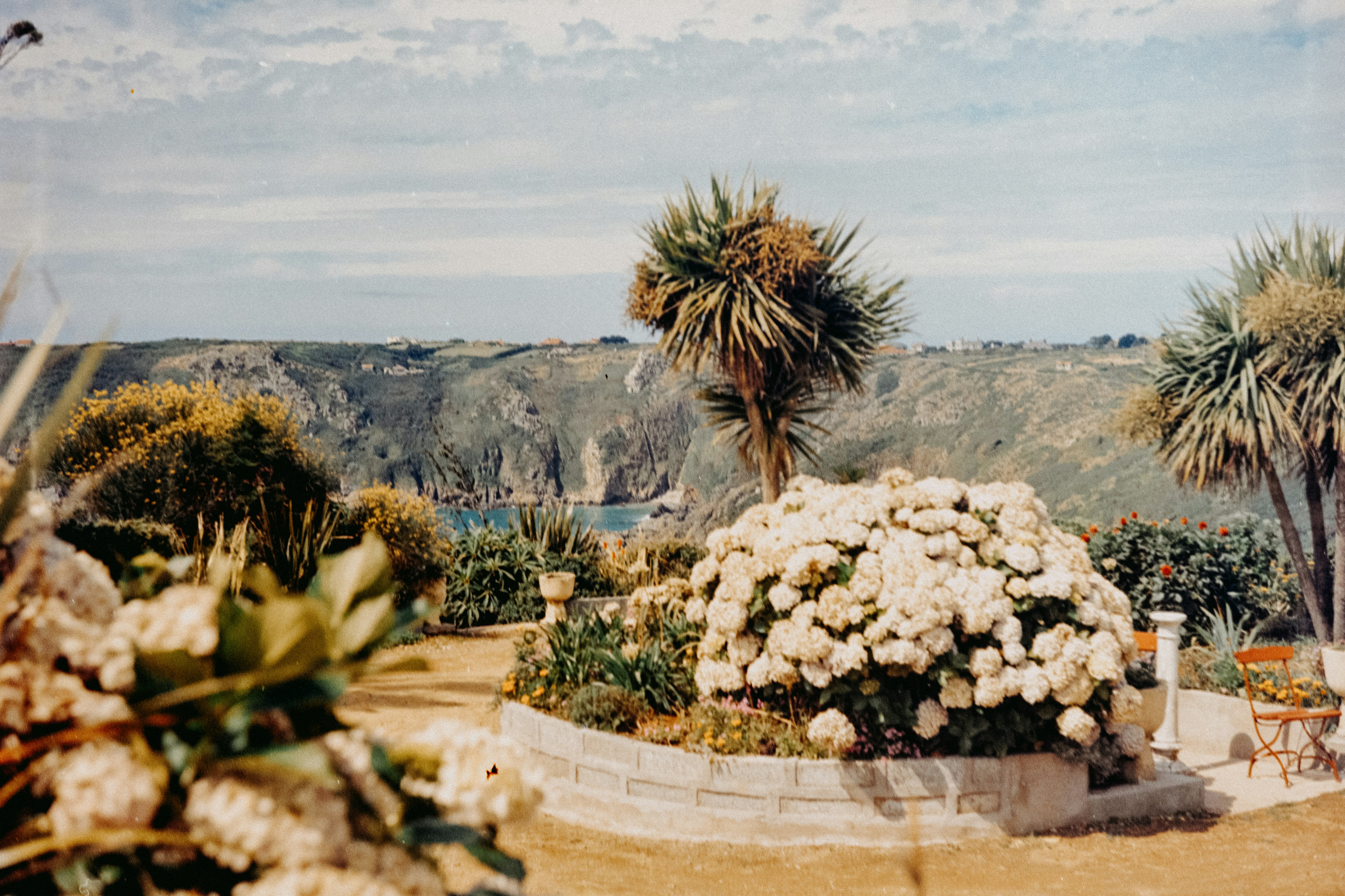 A view of a park with a lot of trees and flowers