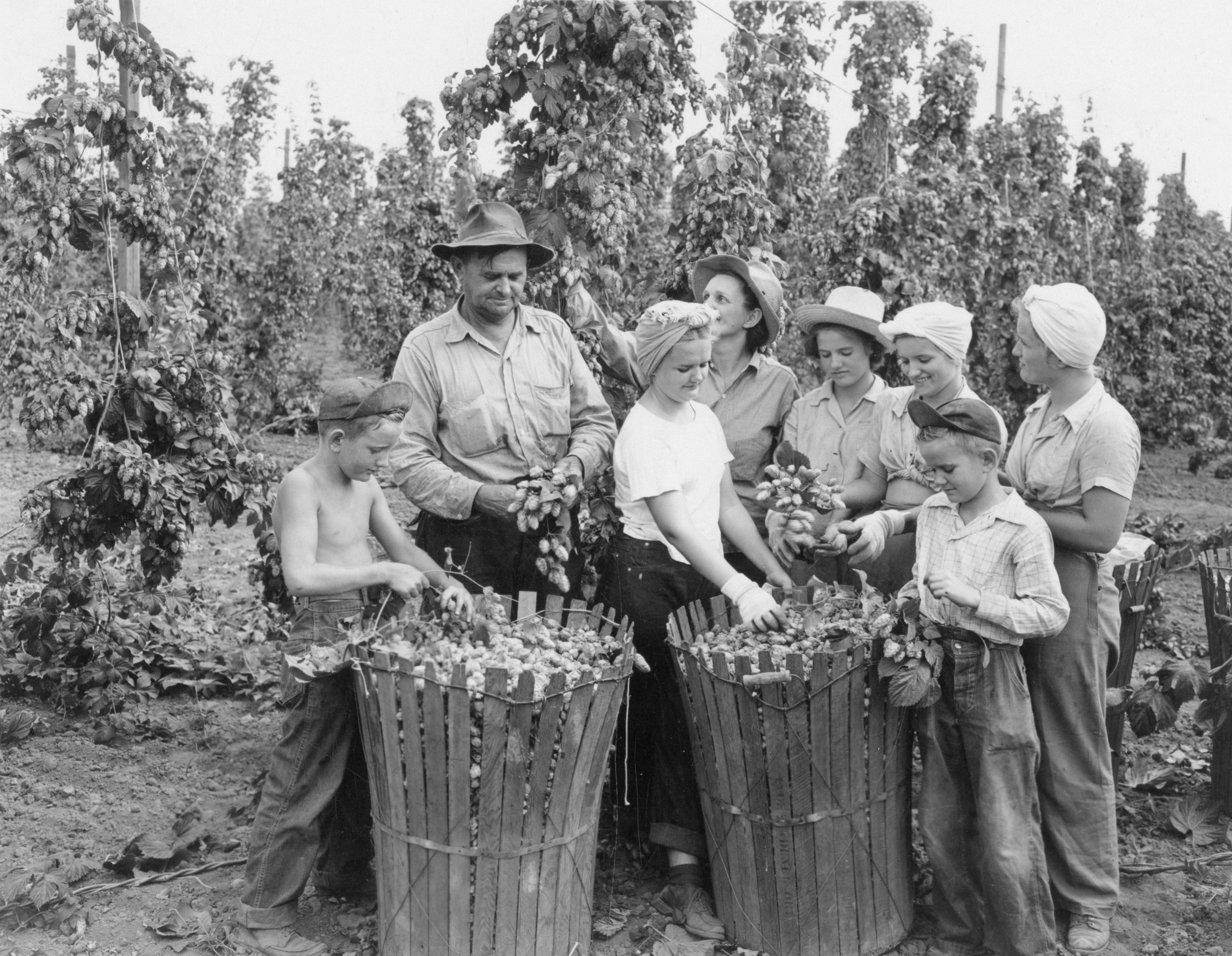 Photo by oregonstateuni