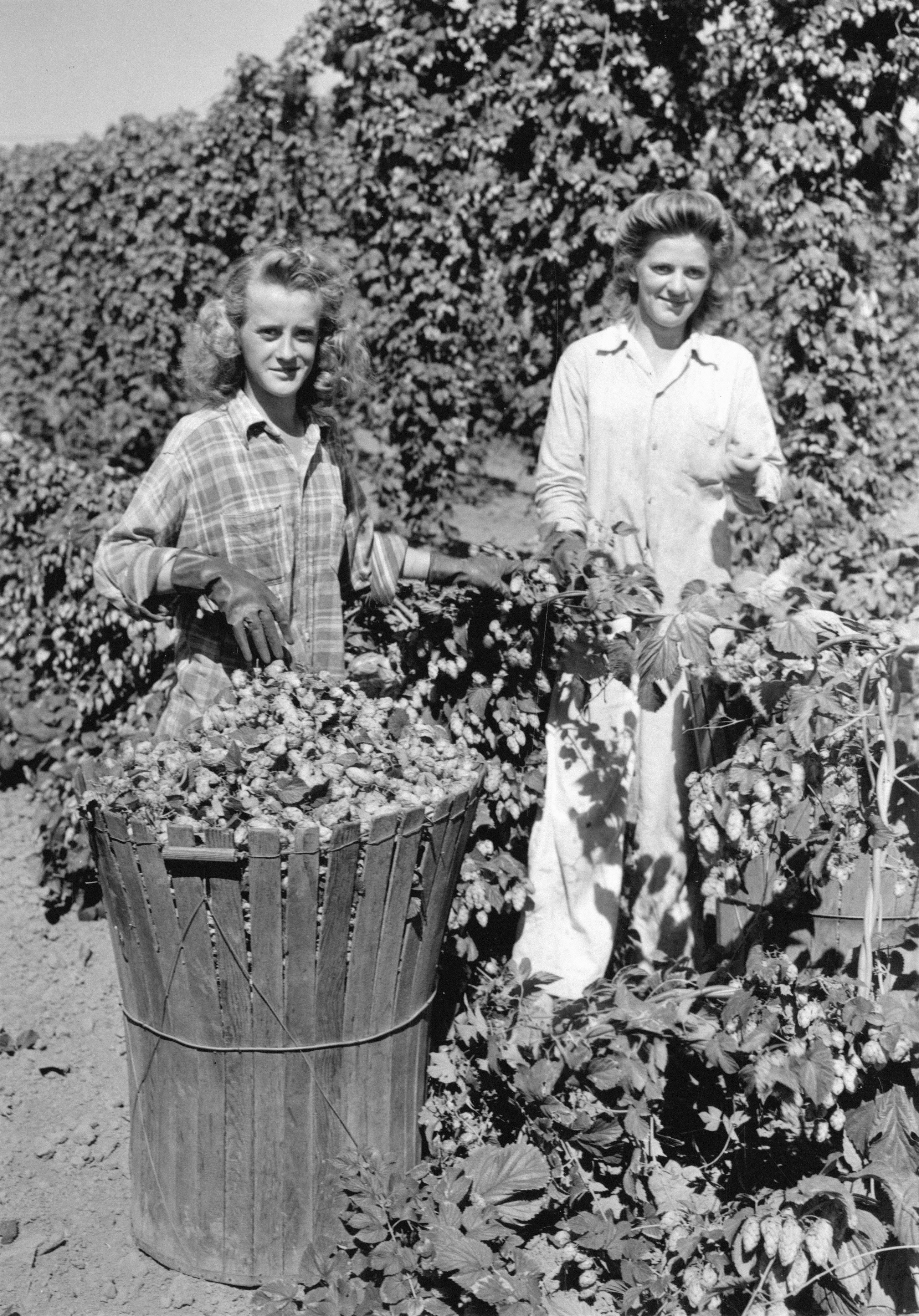Illustrated portrait of growers - Two sisters in a garden