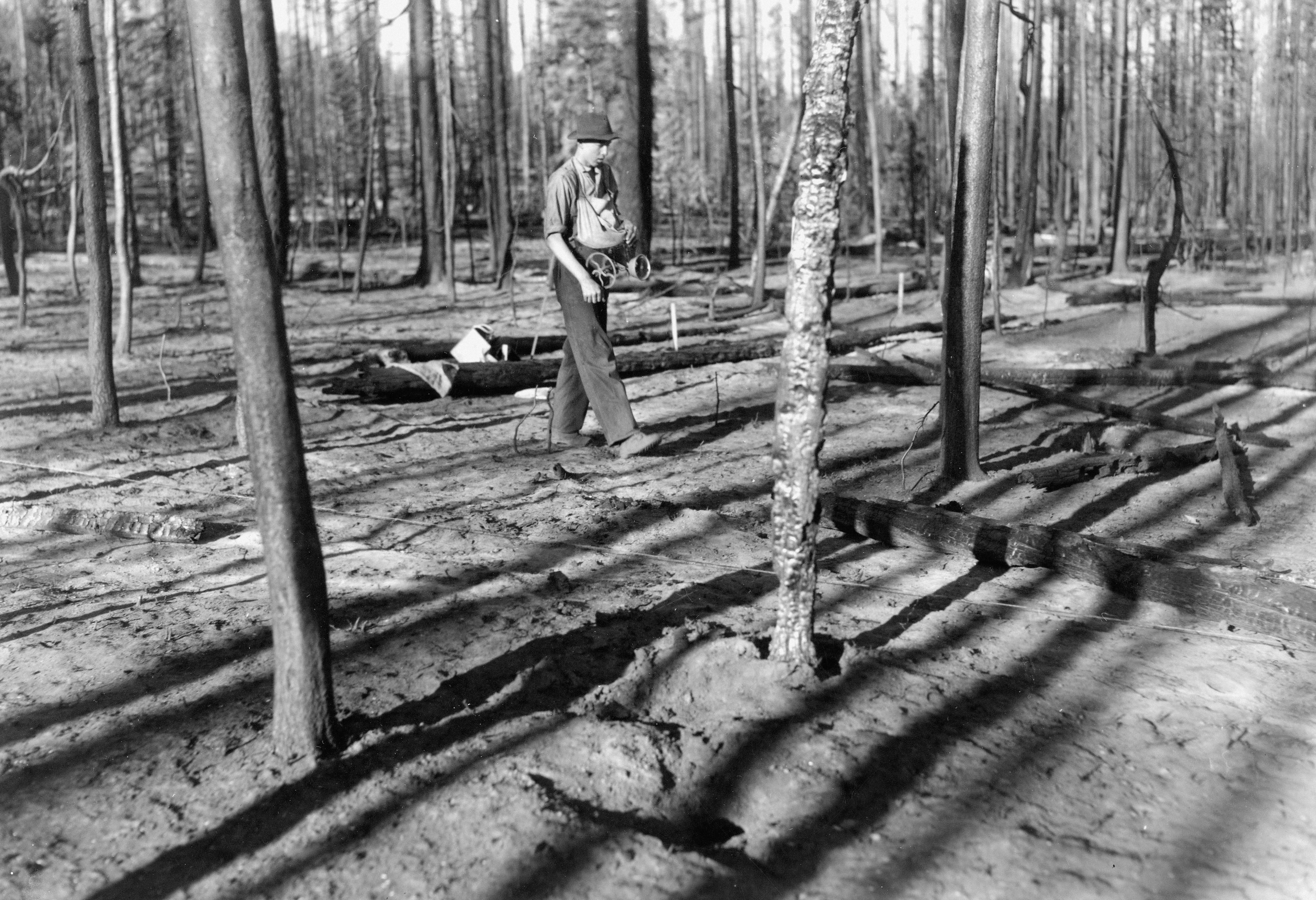 Photo by oregonstateuni