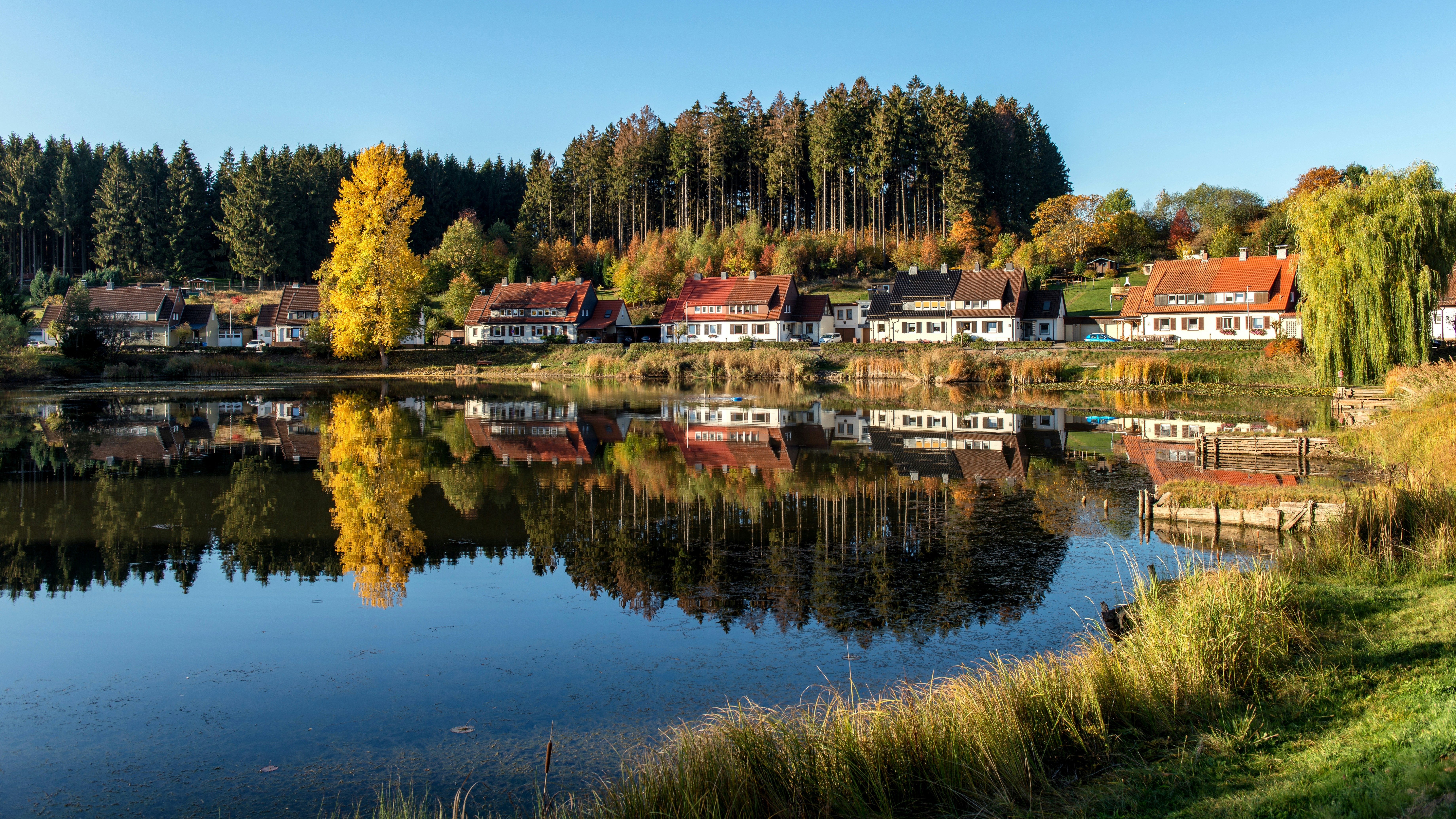 Photo by hamburgmeinefreundin