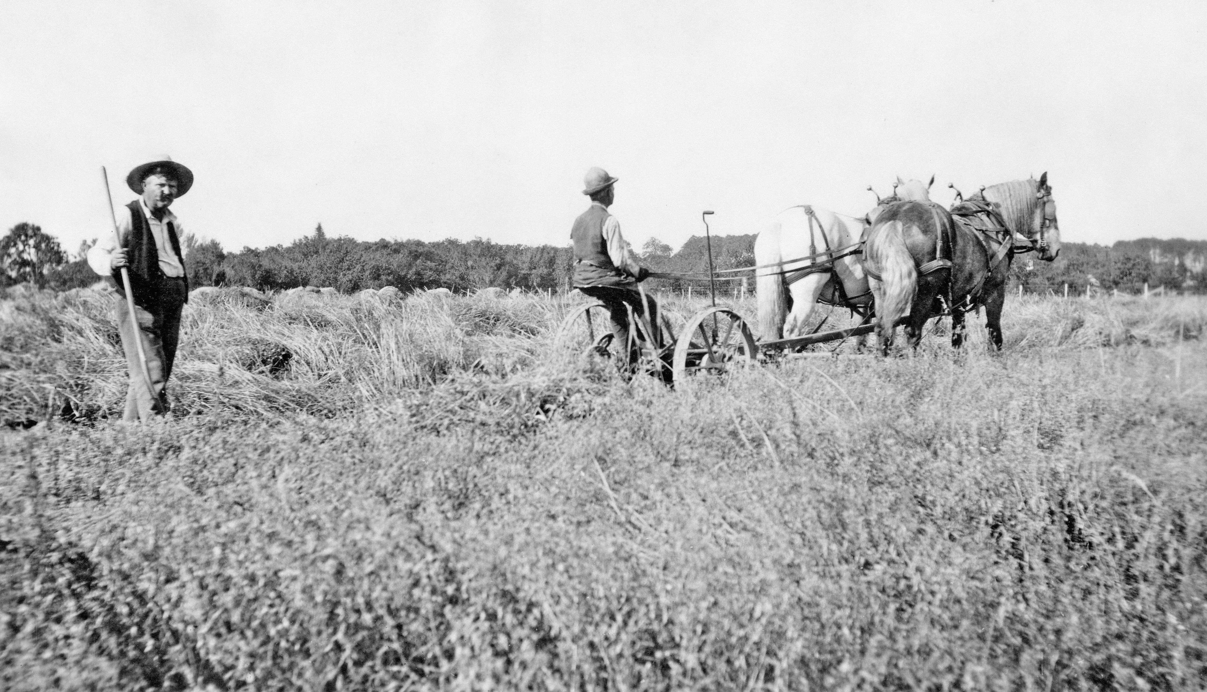 Team of agricultural scientists