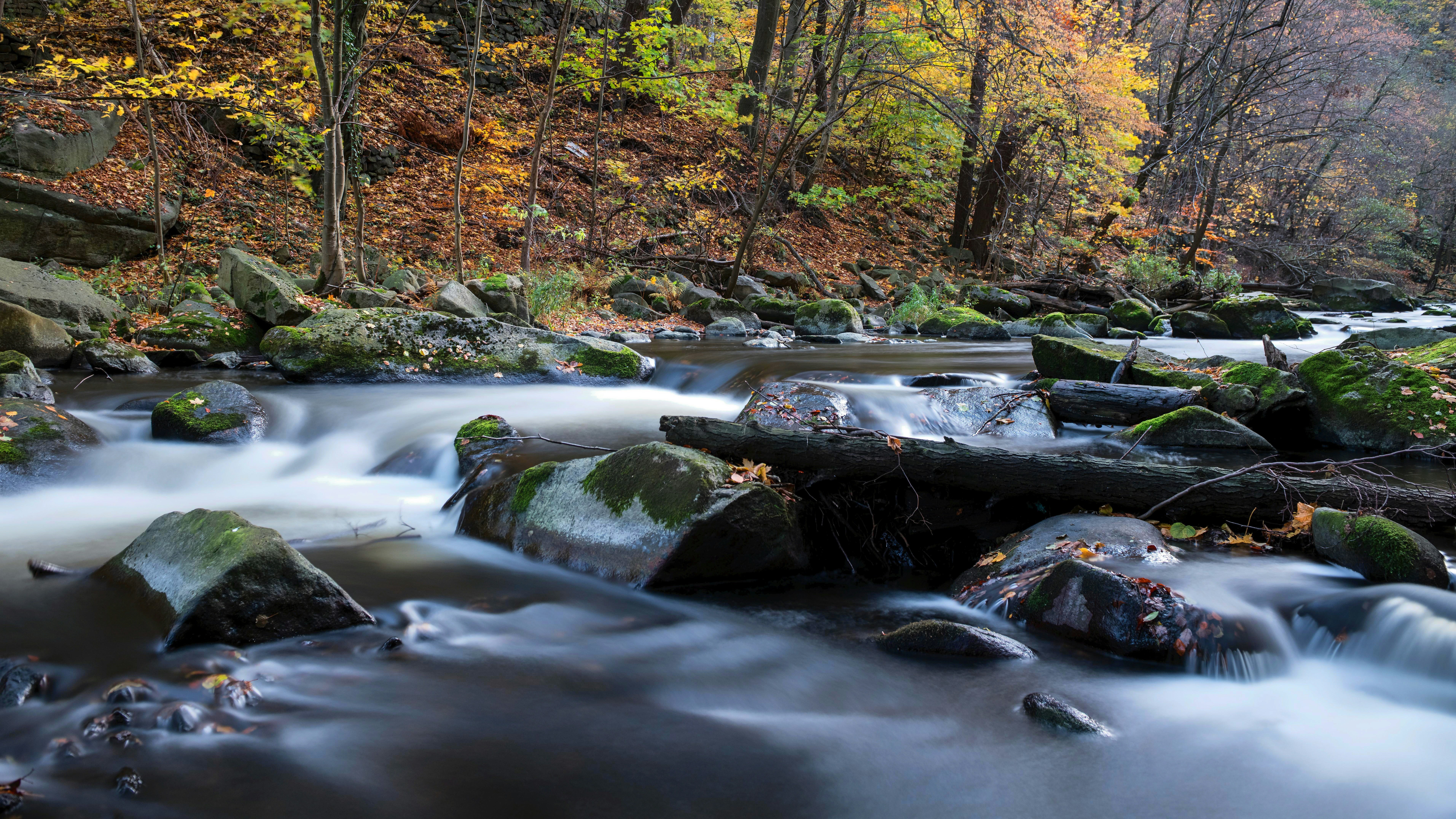 Photo by hamburgmeinefreundin