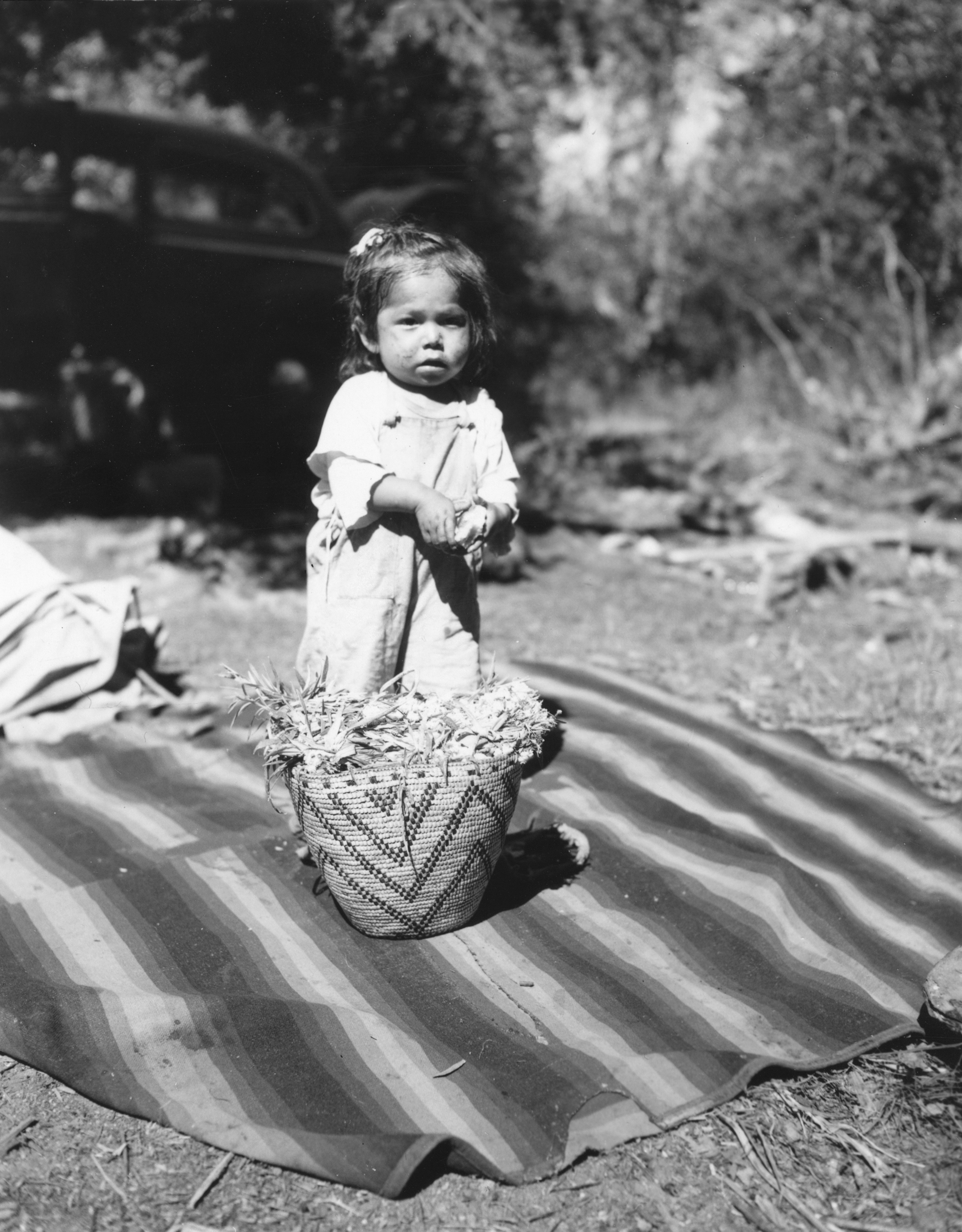 Photo by oregonstateuni