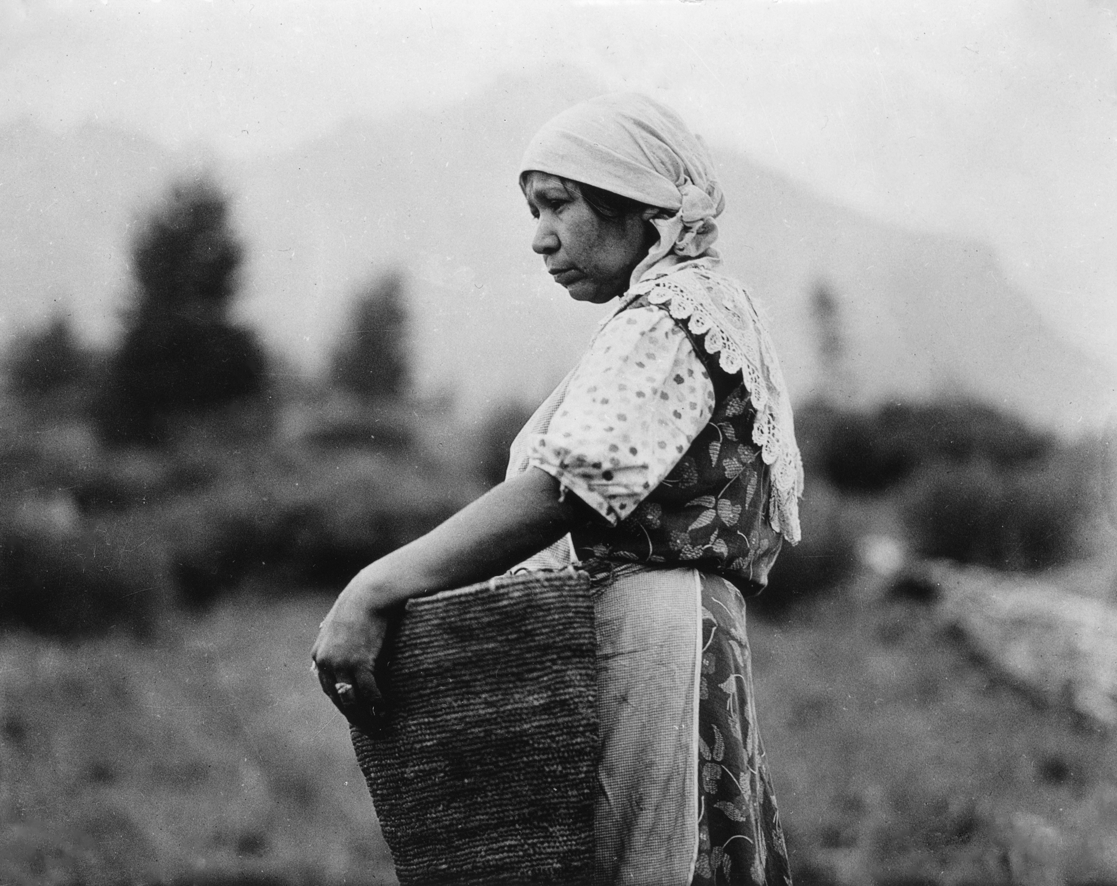 소득세 허위 신고 시 가산세 부과 기간에 대해 알아보자