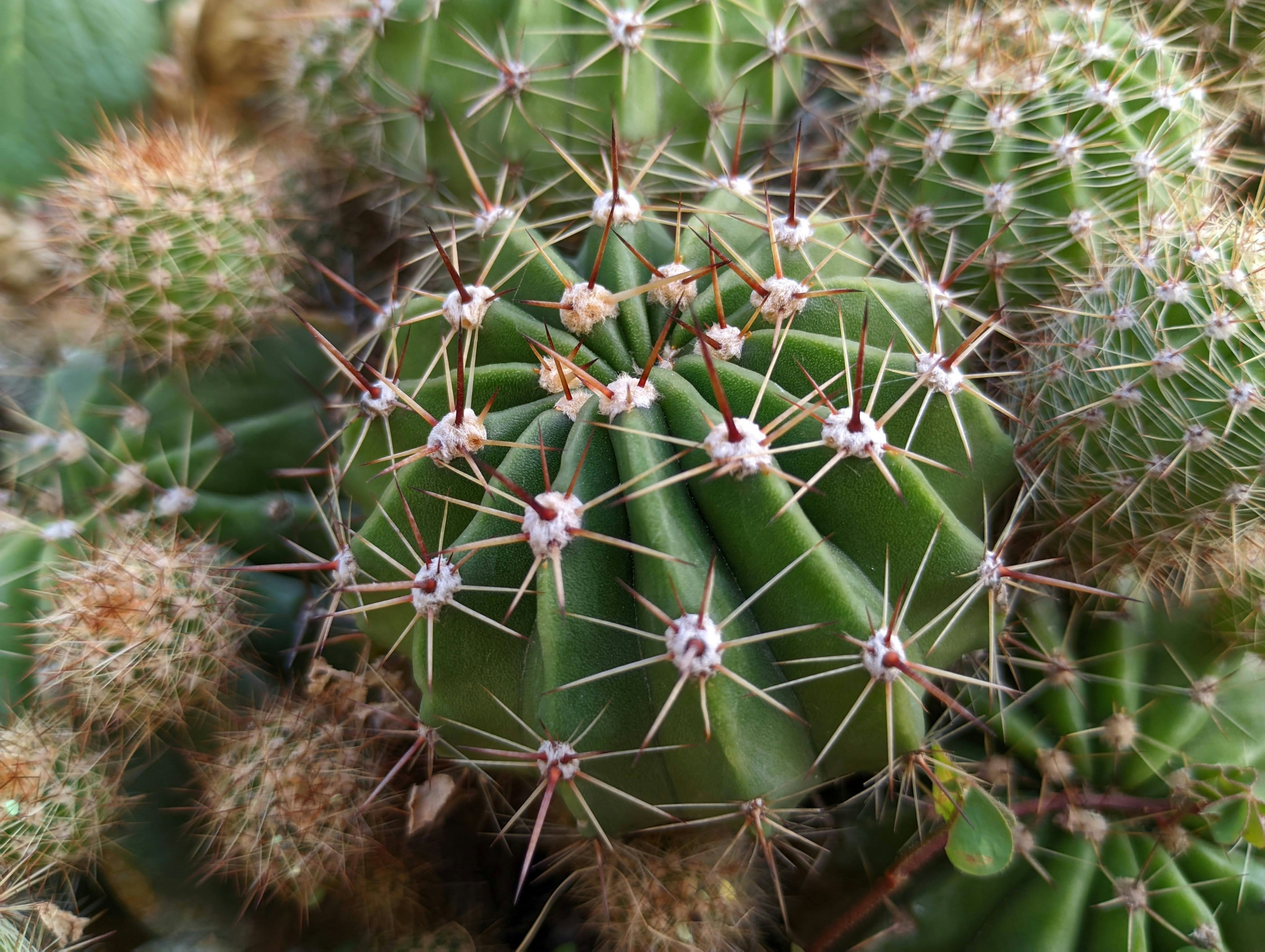 Photo by atulyabharat100