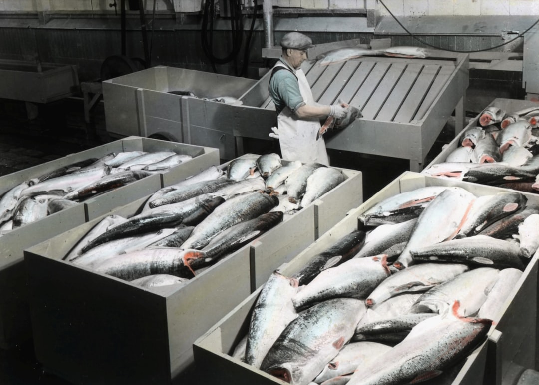 Contratistas organizando documentación para plataformas de acreditación salmonera
