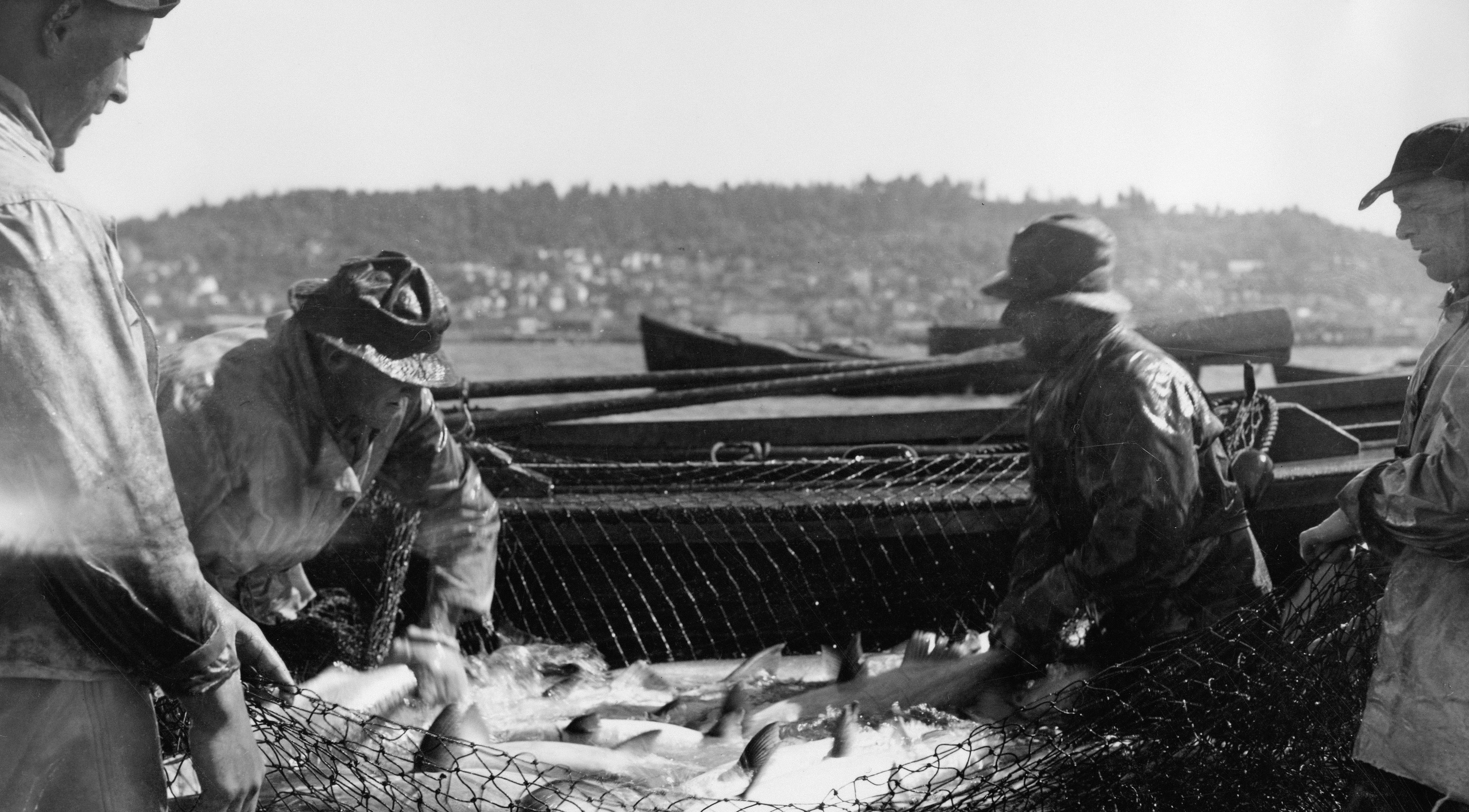 Photo by oregonstateuni