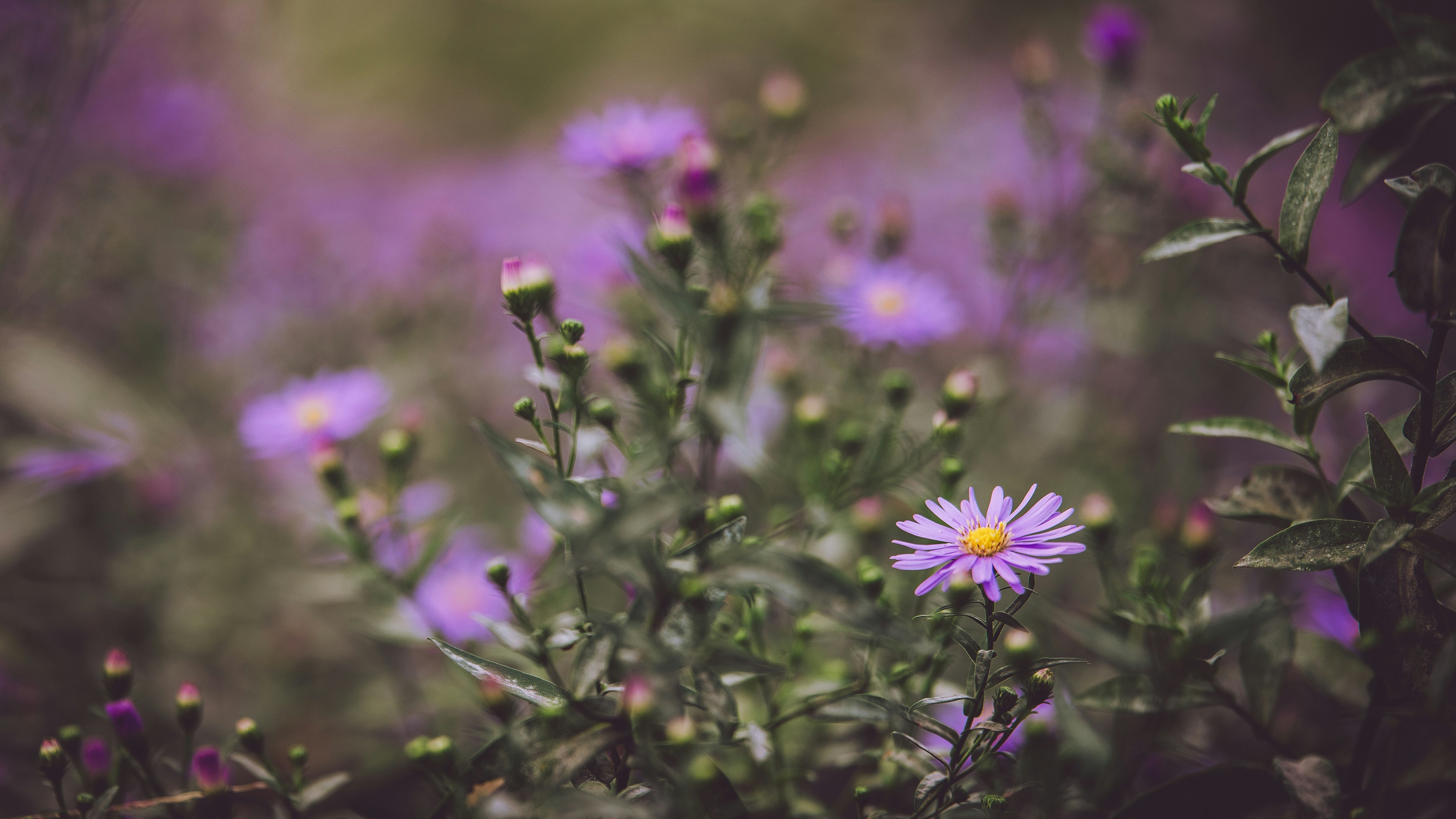 Photo by peek_a_boo_who