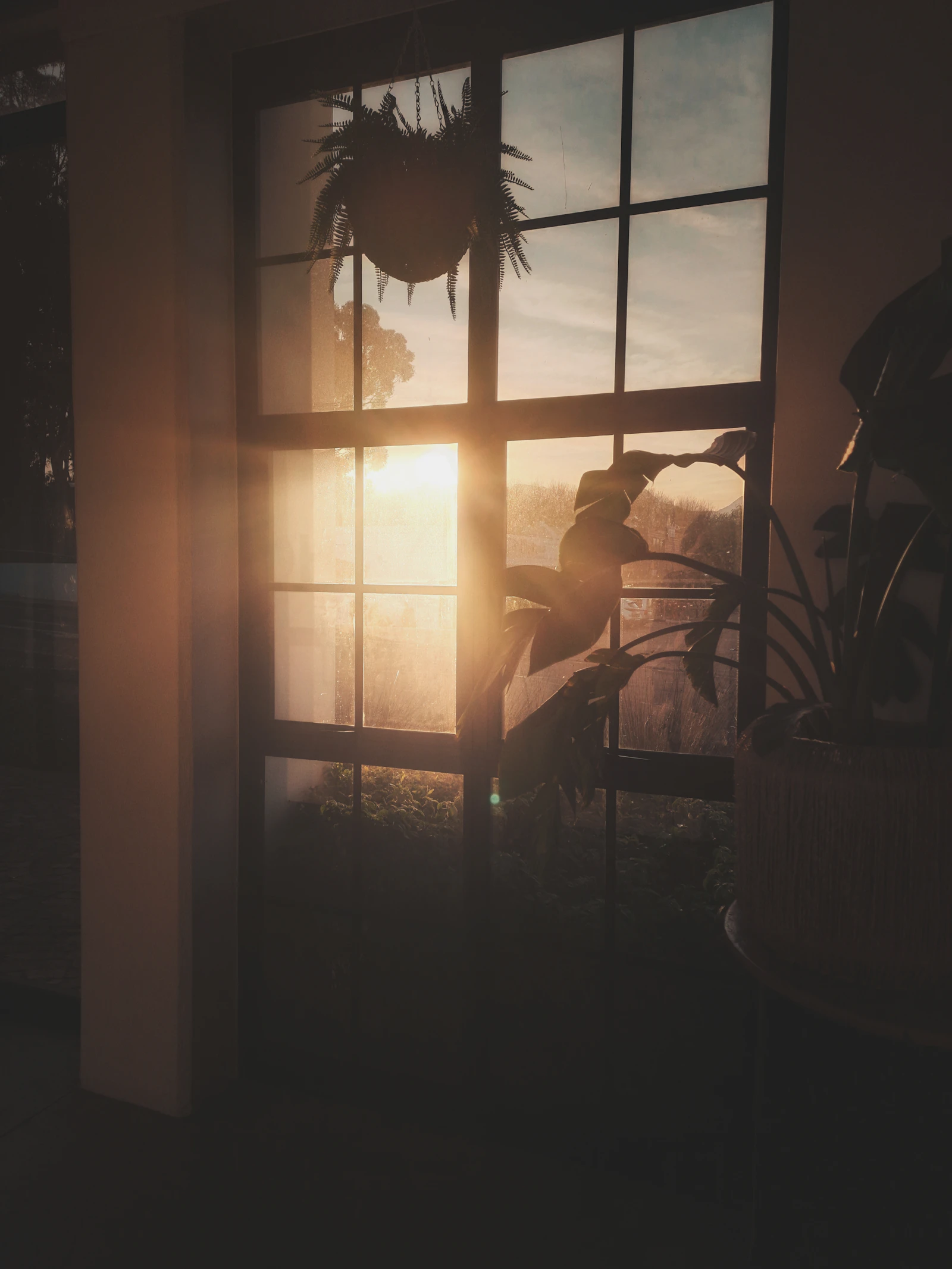 Getting Less Than 42 Minutes of Bright Daylight a Day Tied to Higher Dementia Risk, Study Finds