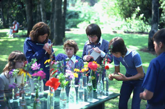 Children examining colorful flowers in glass bottles outdoors