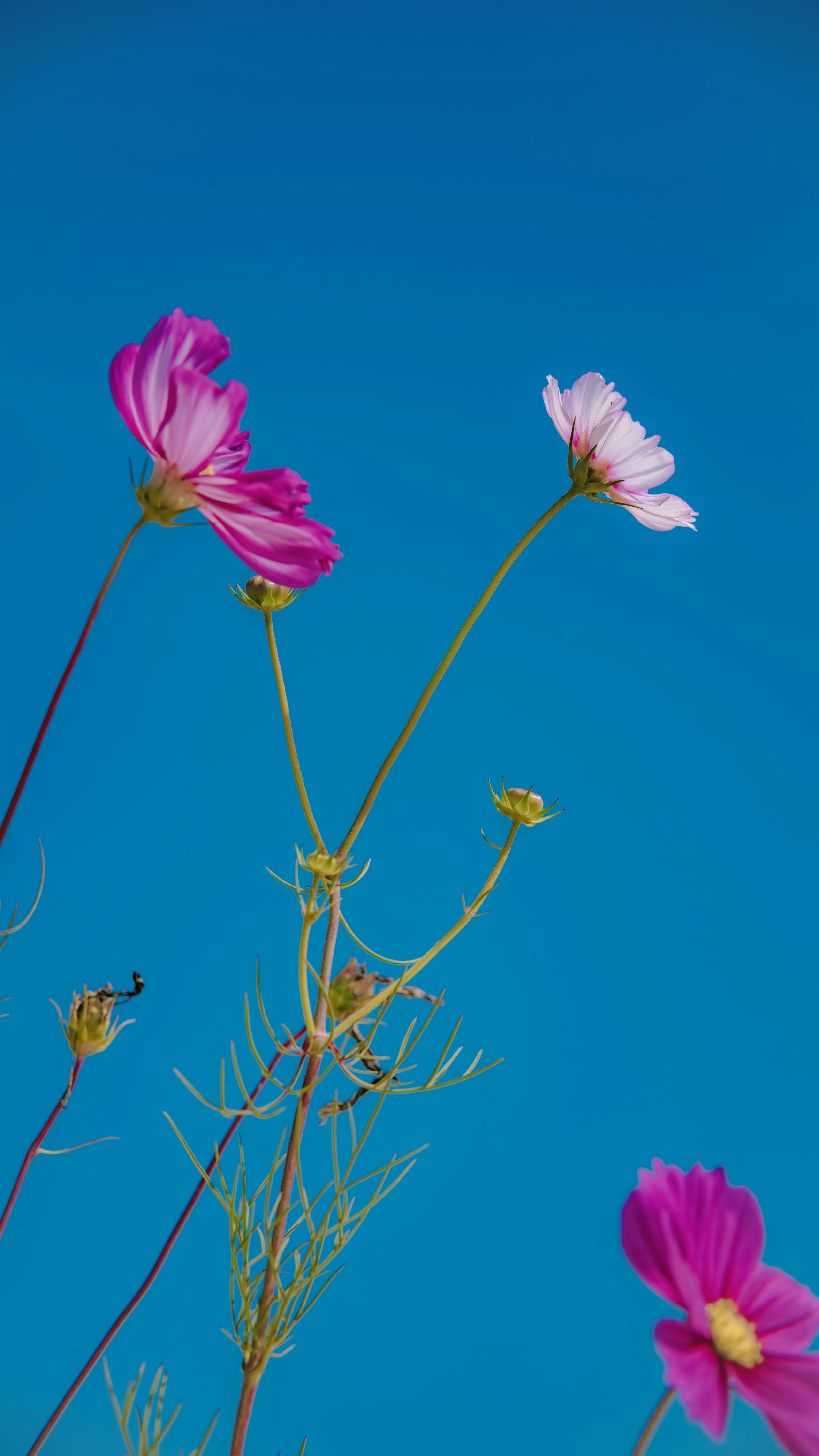 Photo by wangbinghua