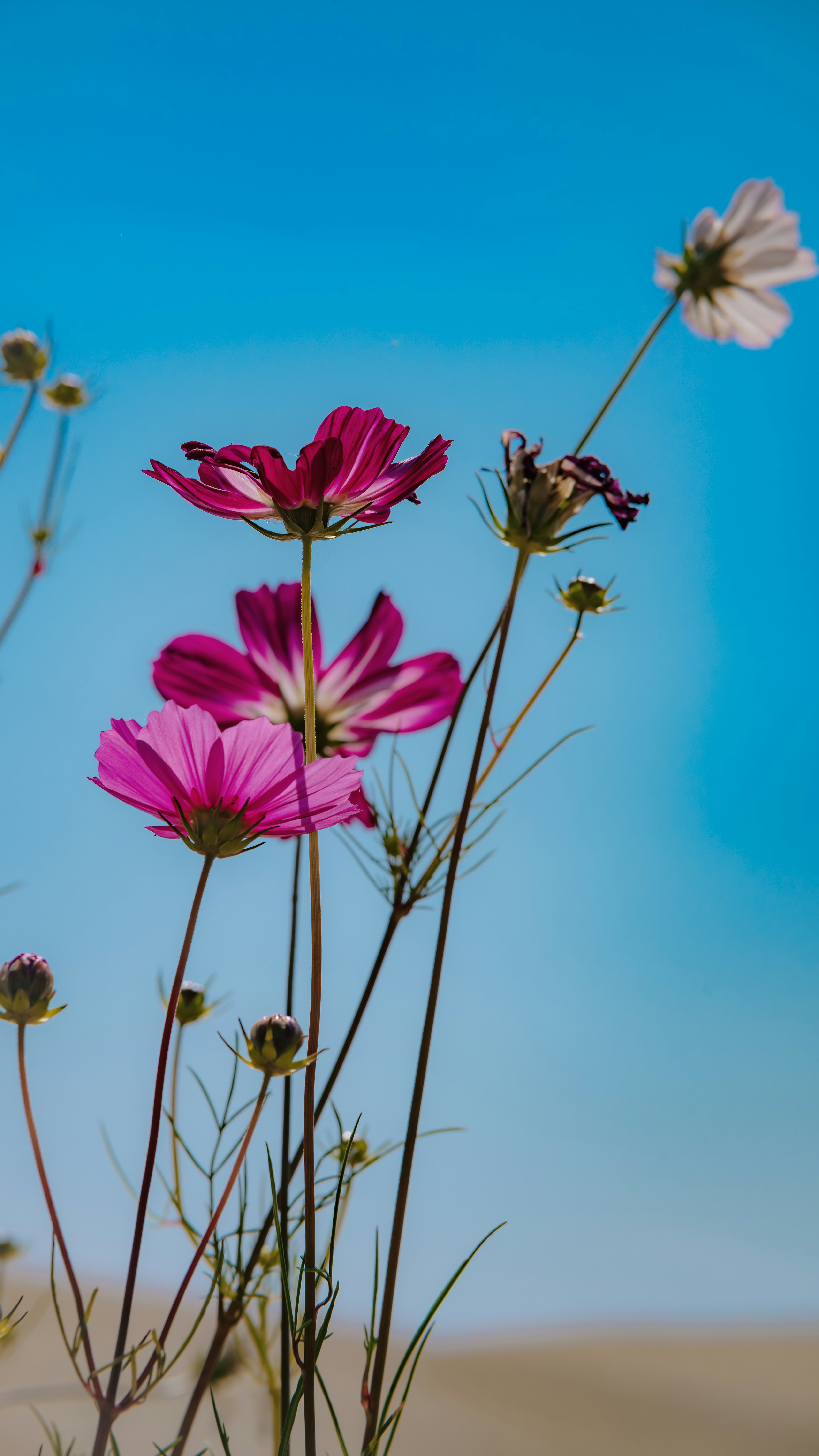 Photo by wangbinghua