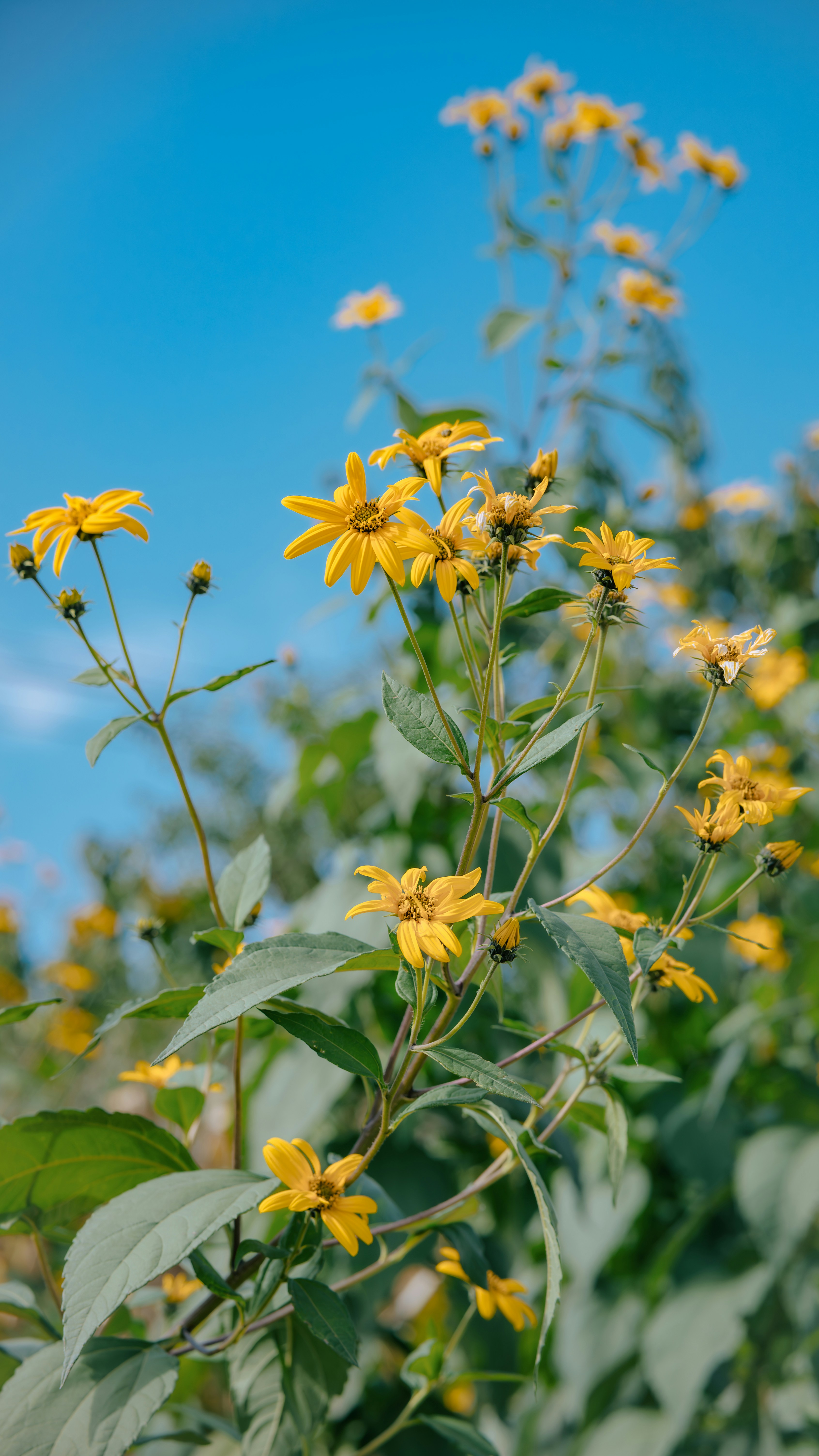 Photo by wangbinghua