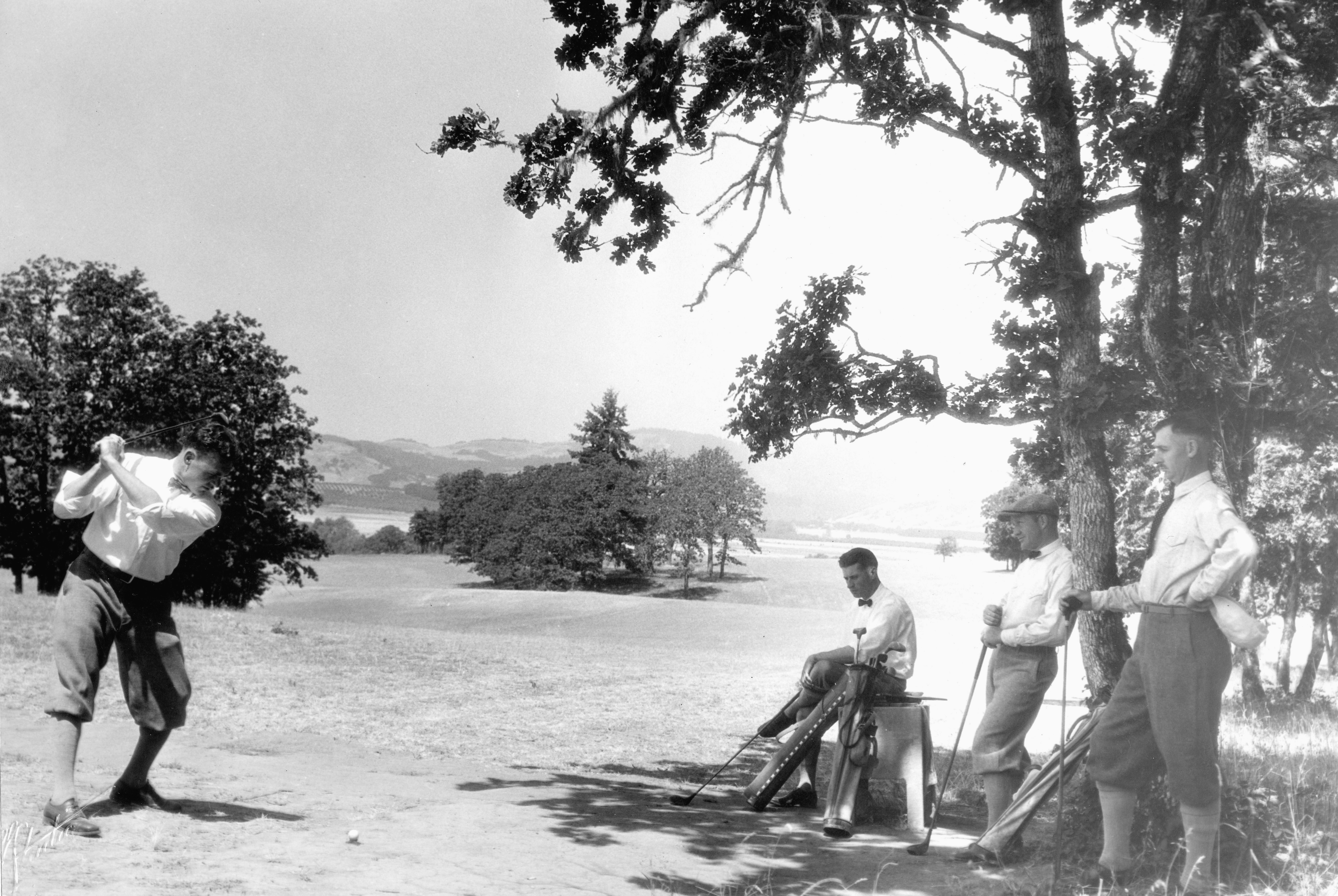 Photo by oregonstateuni